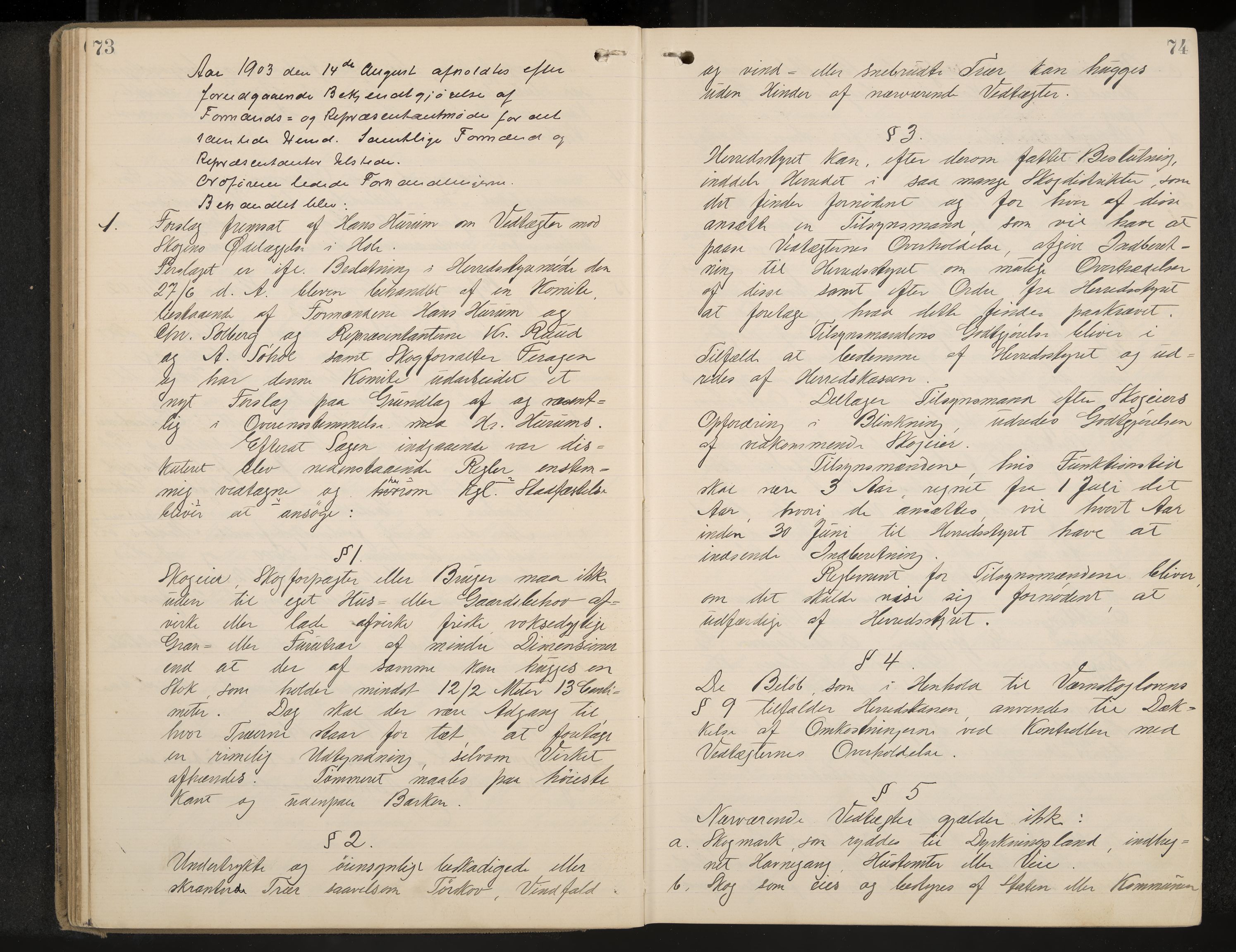Hole formannskap og sentraladministrasjon, IKAK/0612021-1/A/Aa/L0004: Møtebok med register, 1902-1910, p. 73-74