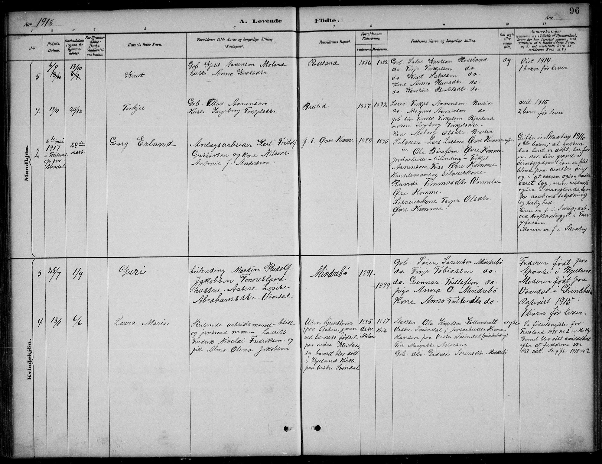 Bjelland sokneprestkontor, AV/SAK-1111-0005/F/Fb/Fba/L0005: Parish register (copy) no. B 5, 1887-1923, p. 96