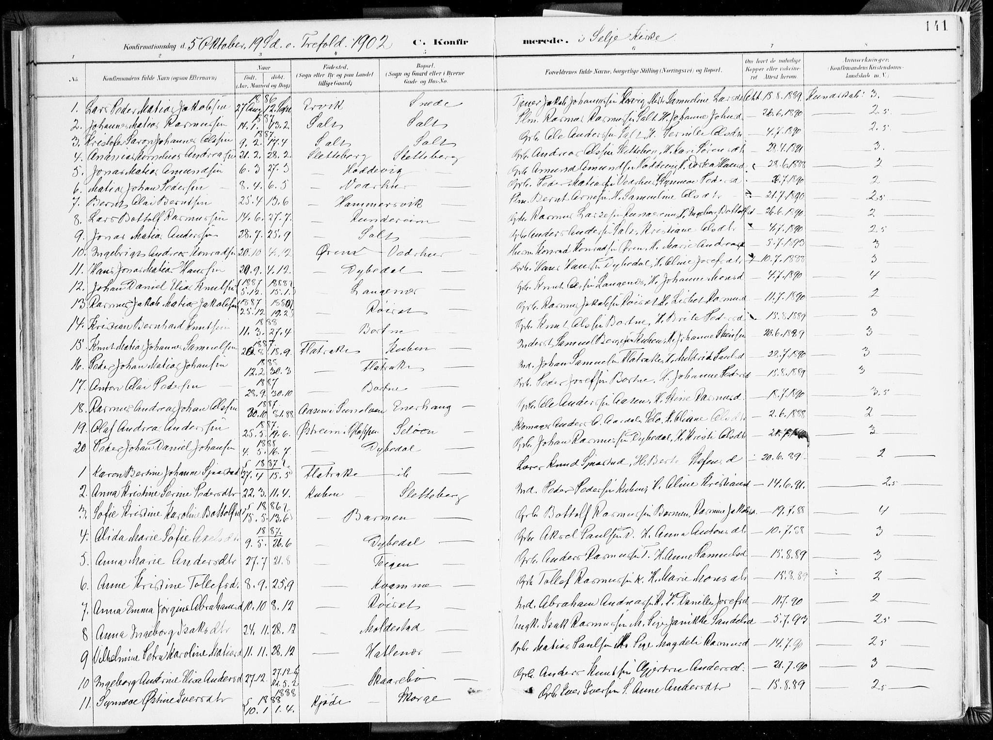 Selje sokneprestembete, AV/SAB-A-99938/H/Ha/Haa/Haab: Parish register (official) no. B 2, 1891-1907, p. 141
