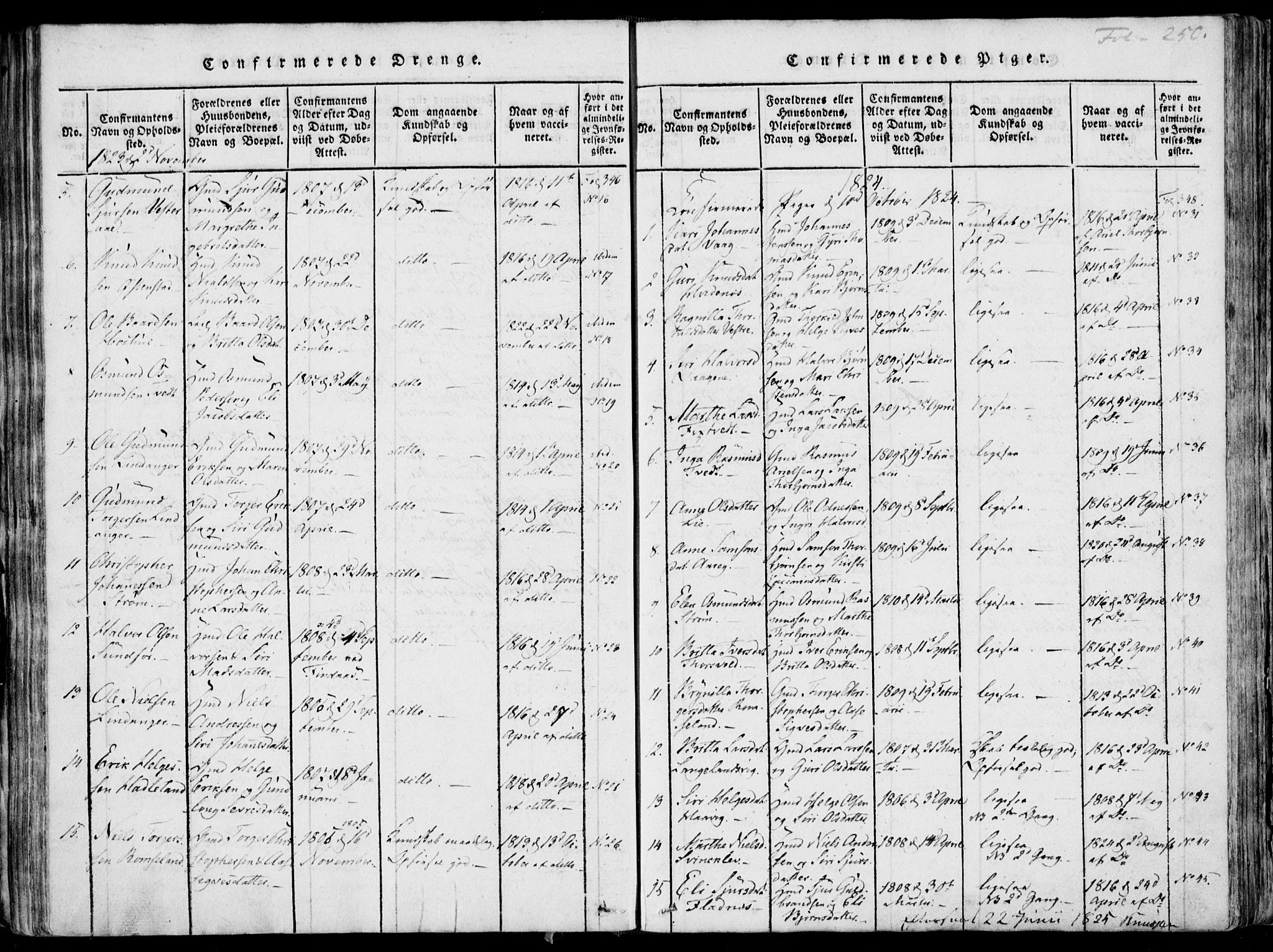 Skjold sokneprestkontor, SAST/A-101847/H/Ha/Haa/L0003: Parish register (official) no. A 3, 1815-1835, p. 250