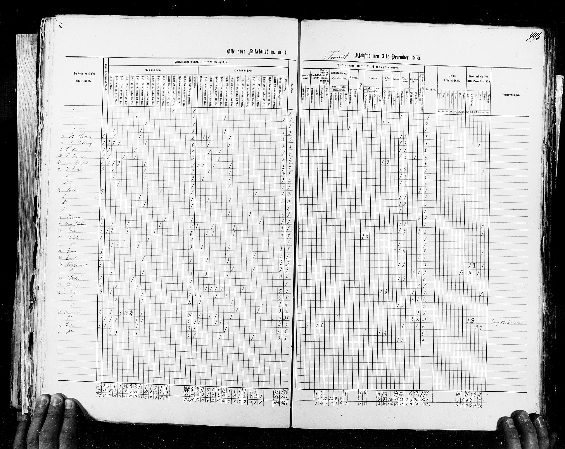 RA, Census 1855, vol. 8: Risør-Vadsø, 1855, p. 496