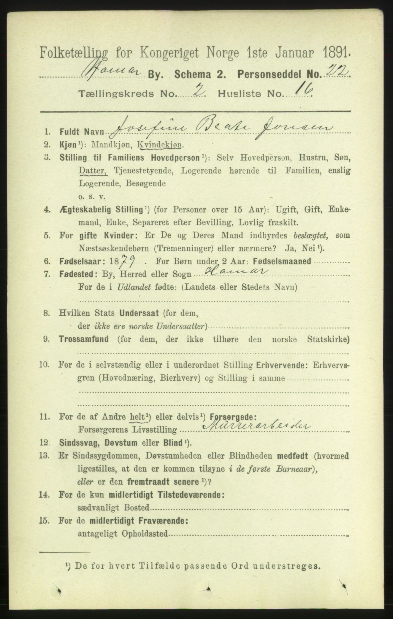 RA, 1891 census for 0401 Hamar, 1891, p. 1219