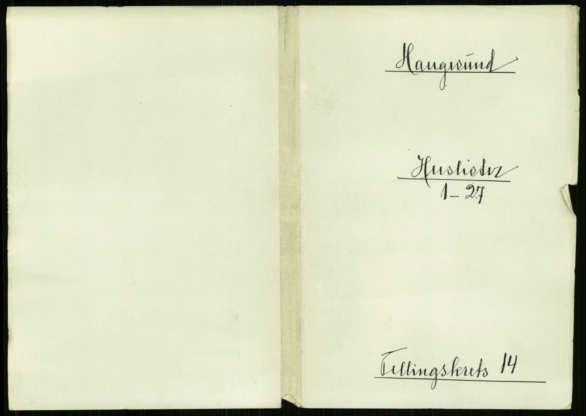 RA, 1891 census for 1106 Haugesund, 1891, p. 906