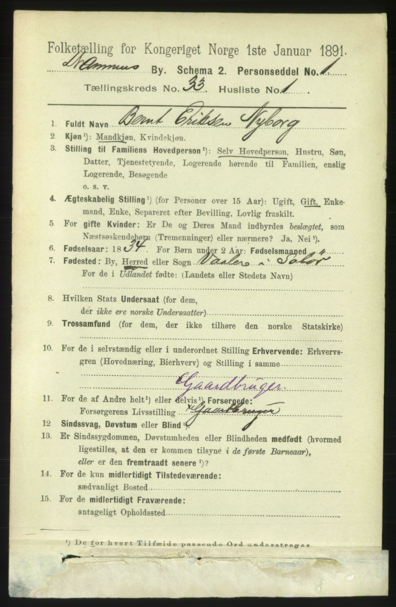 RA, 1891 census for 0602 Drammen, 1891, p. 20082