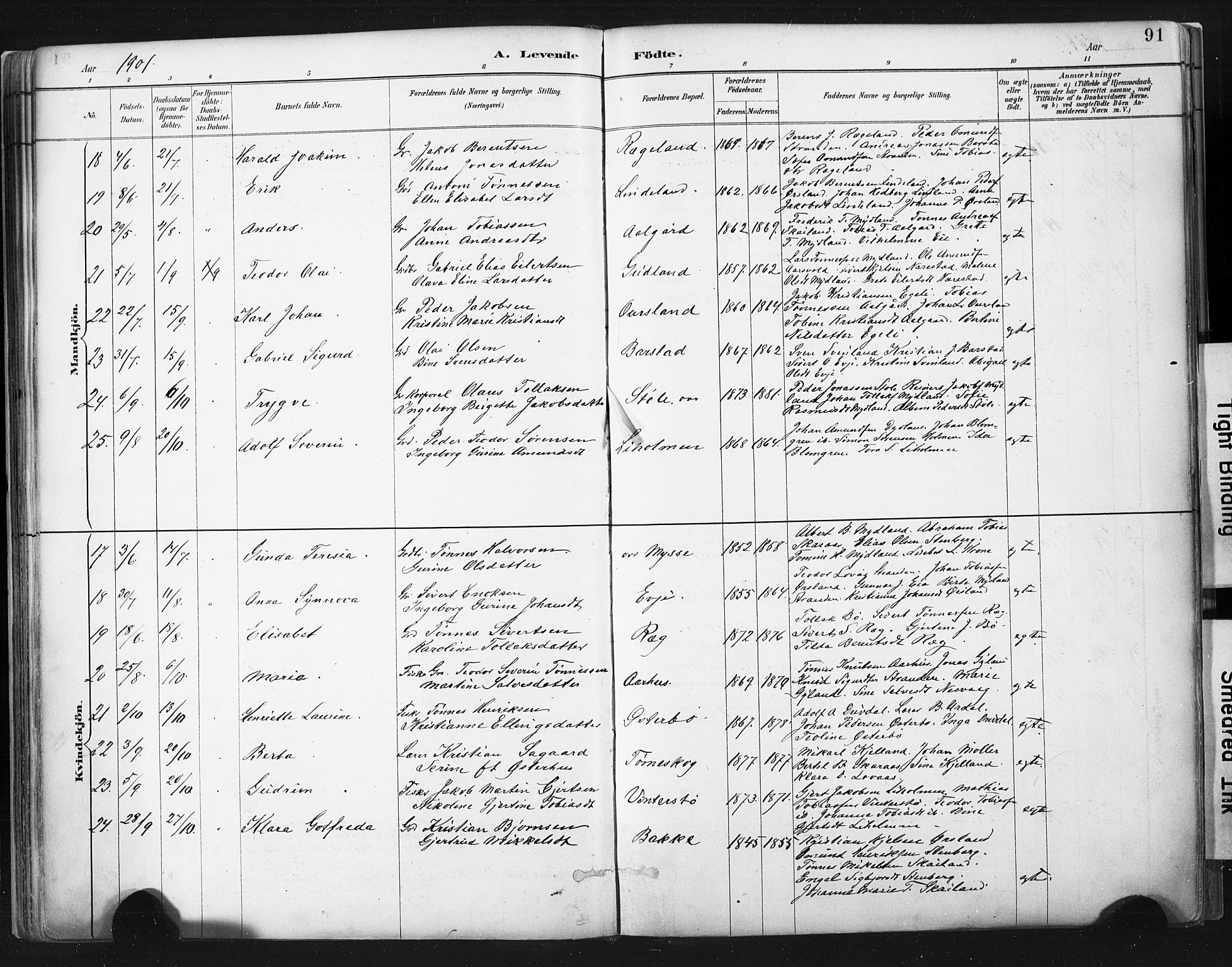 Sokndal sokneprestkontor, AV/SAST-A-101808: Parish register (official) no. A 11.1, 1887-1905, p. 91