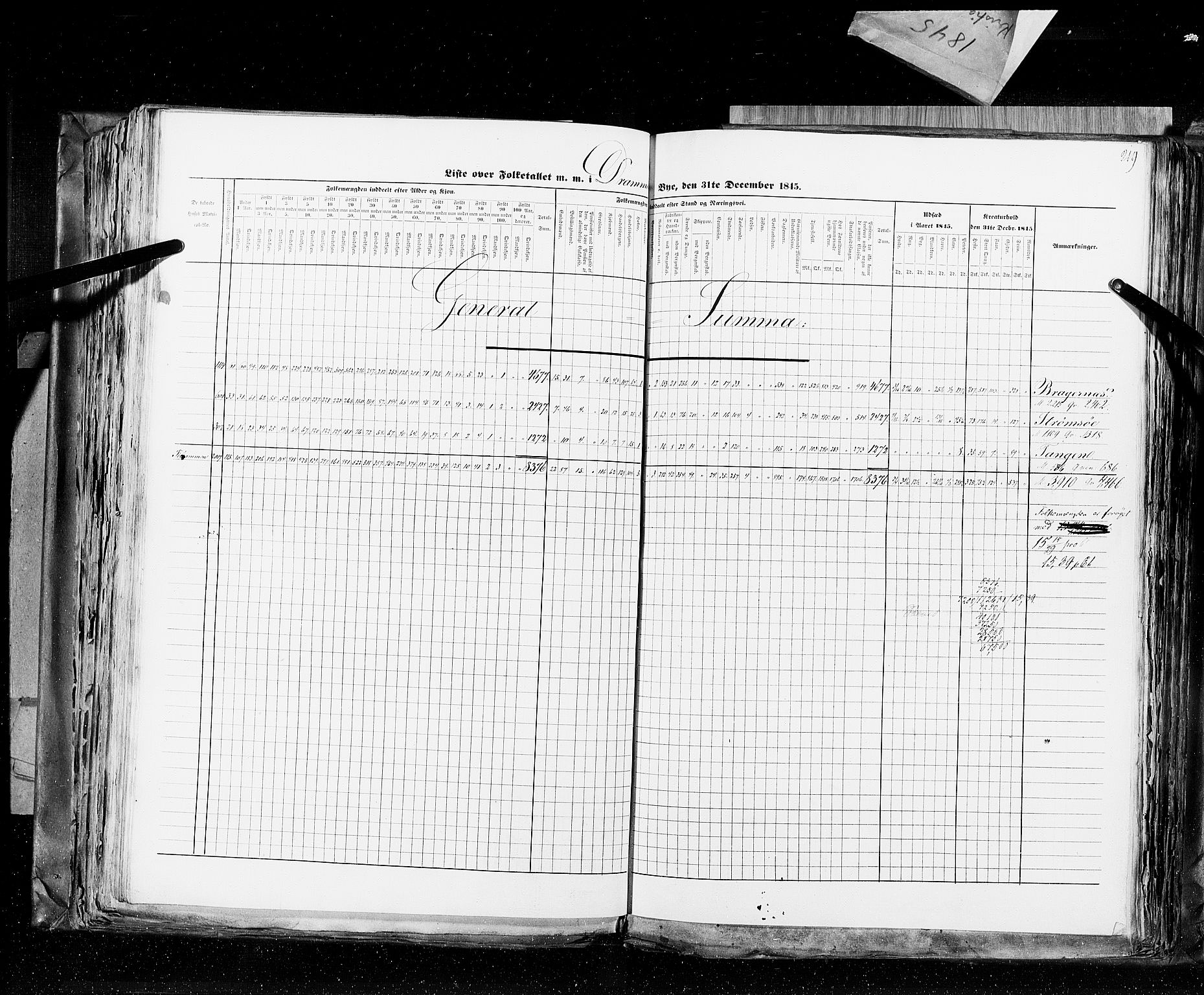 RA, Census 1845, vol. 10: Cities, 1845, p. 219