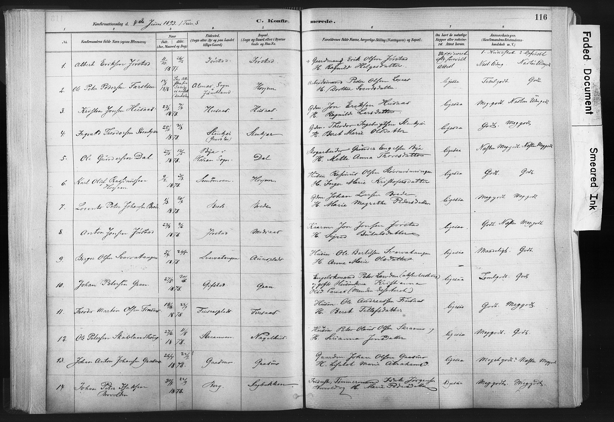 Ministerialprotokoller, klokkerbøker og fødselsregistre - Nord-Trøndelag, SAT/A-1458/749/L0474: Parish register (official) no. 749A08, 1887-1903, p. 116