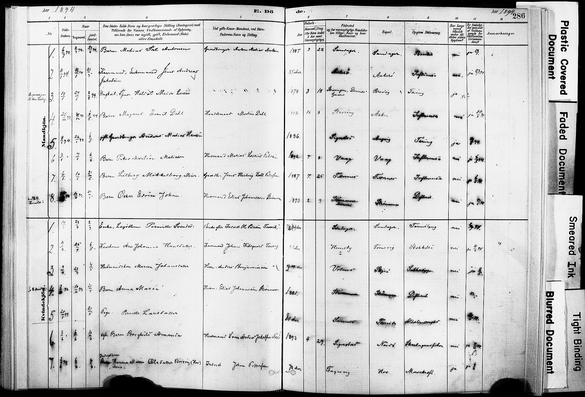 Ministerialprotokoller, klokkerbøker og fødselsregistre - Nordland, AV/SAT-A-1459/835/L0526: Parish register (official) no. 835A03II, 1881-1910, p. 286