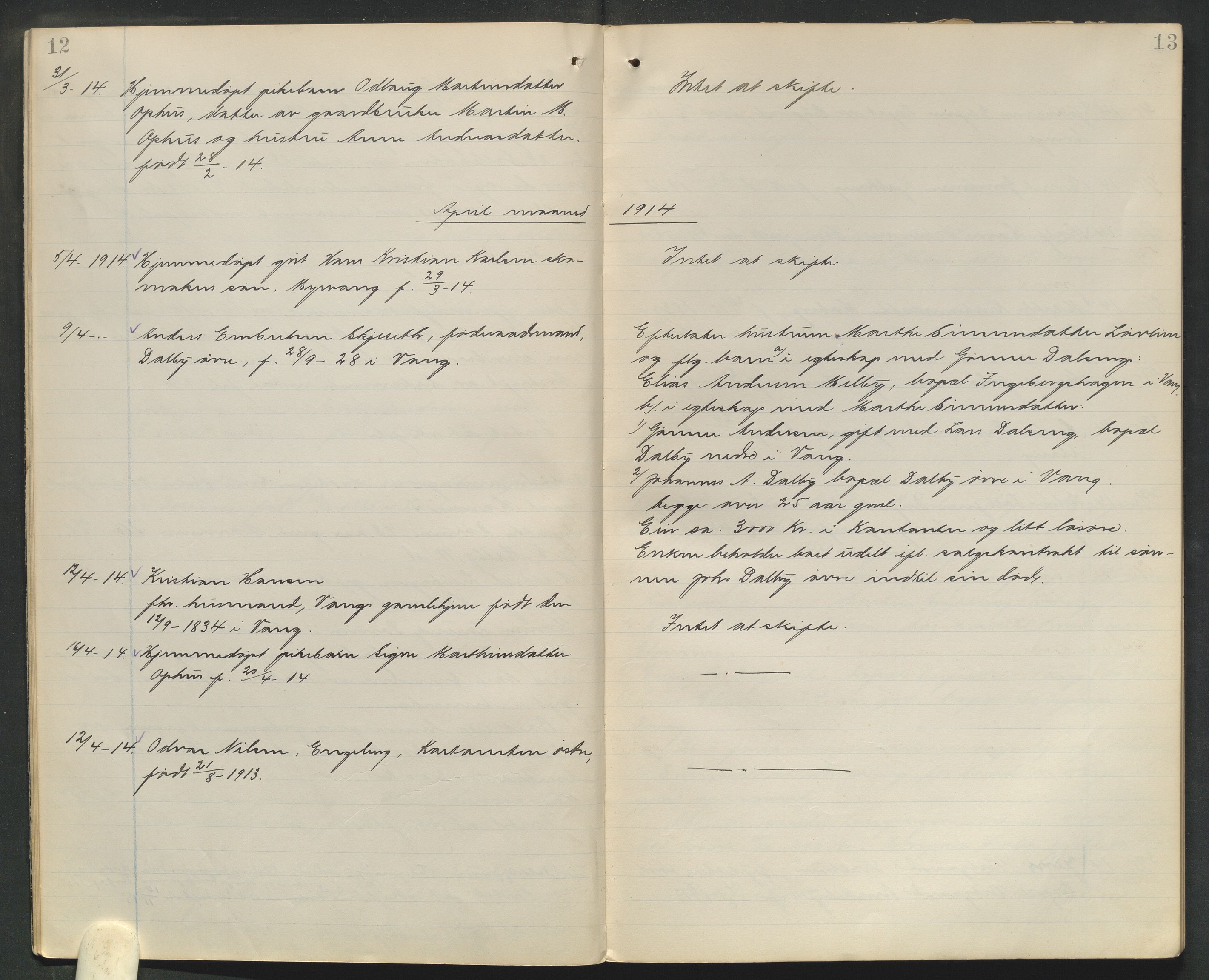 Nord-Hedmark sorenskriveri, AV/SAH-TING-012/J/Ji/L0010: Dødsfallsprotokoll - Vang, 1913-1916, p. 12-13