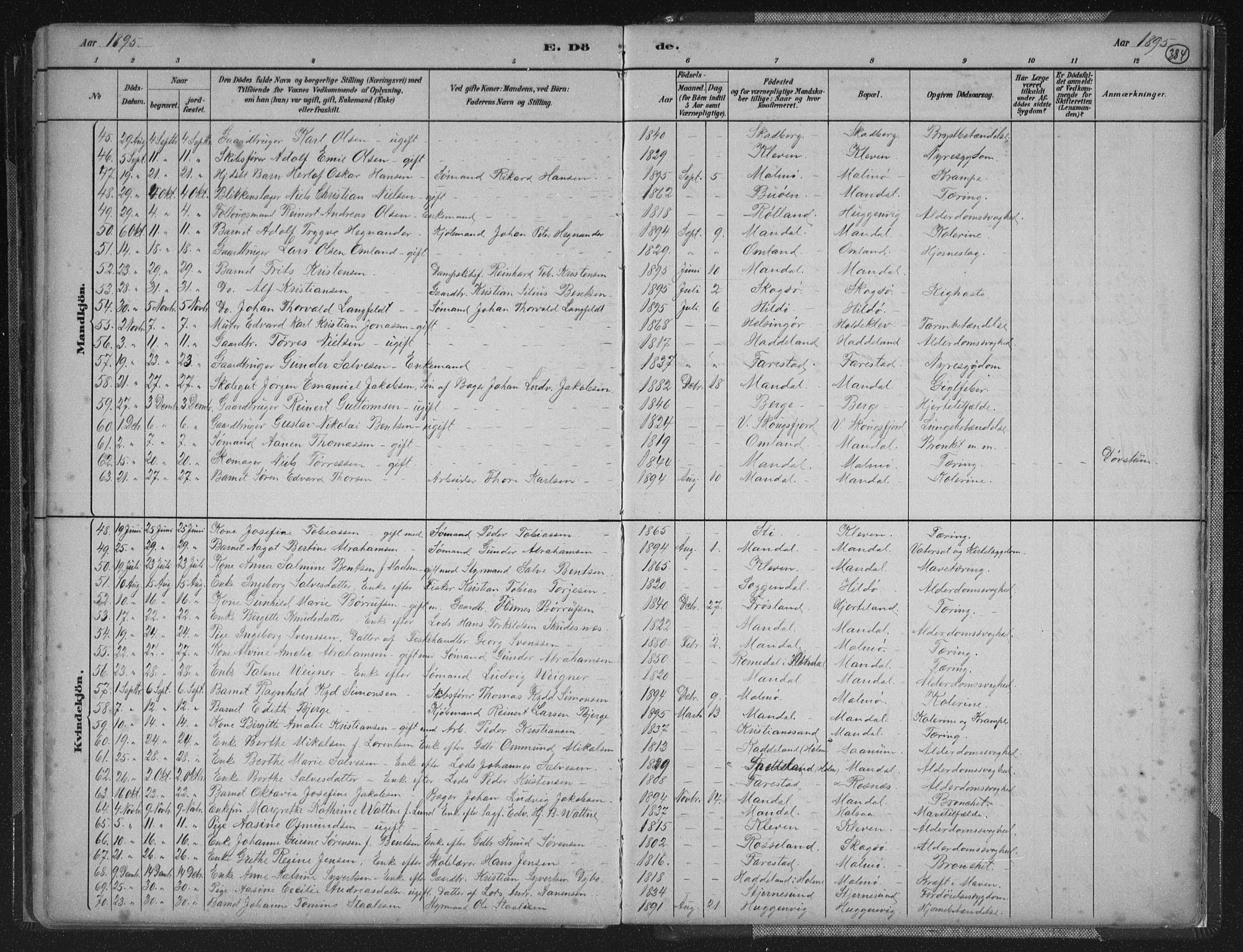 Mandal sokneprestkontor, AV/SAK-1111-0030/F/Fb/Fba/L0011: Parish register (copy) no. B 5, 1880-1898, p. 384