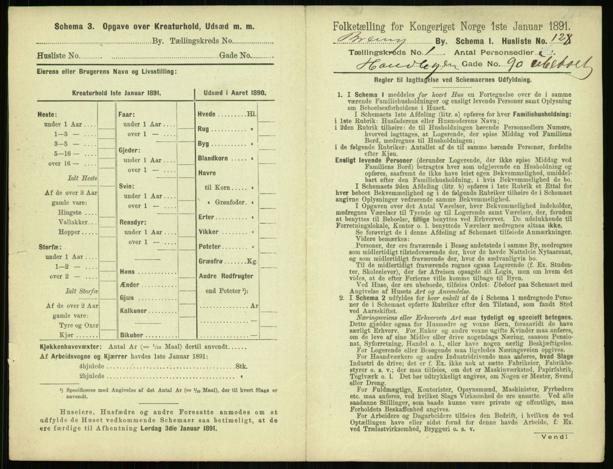 RA, 1891 census for 0804 Brevik, 1891, p. 271