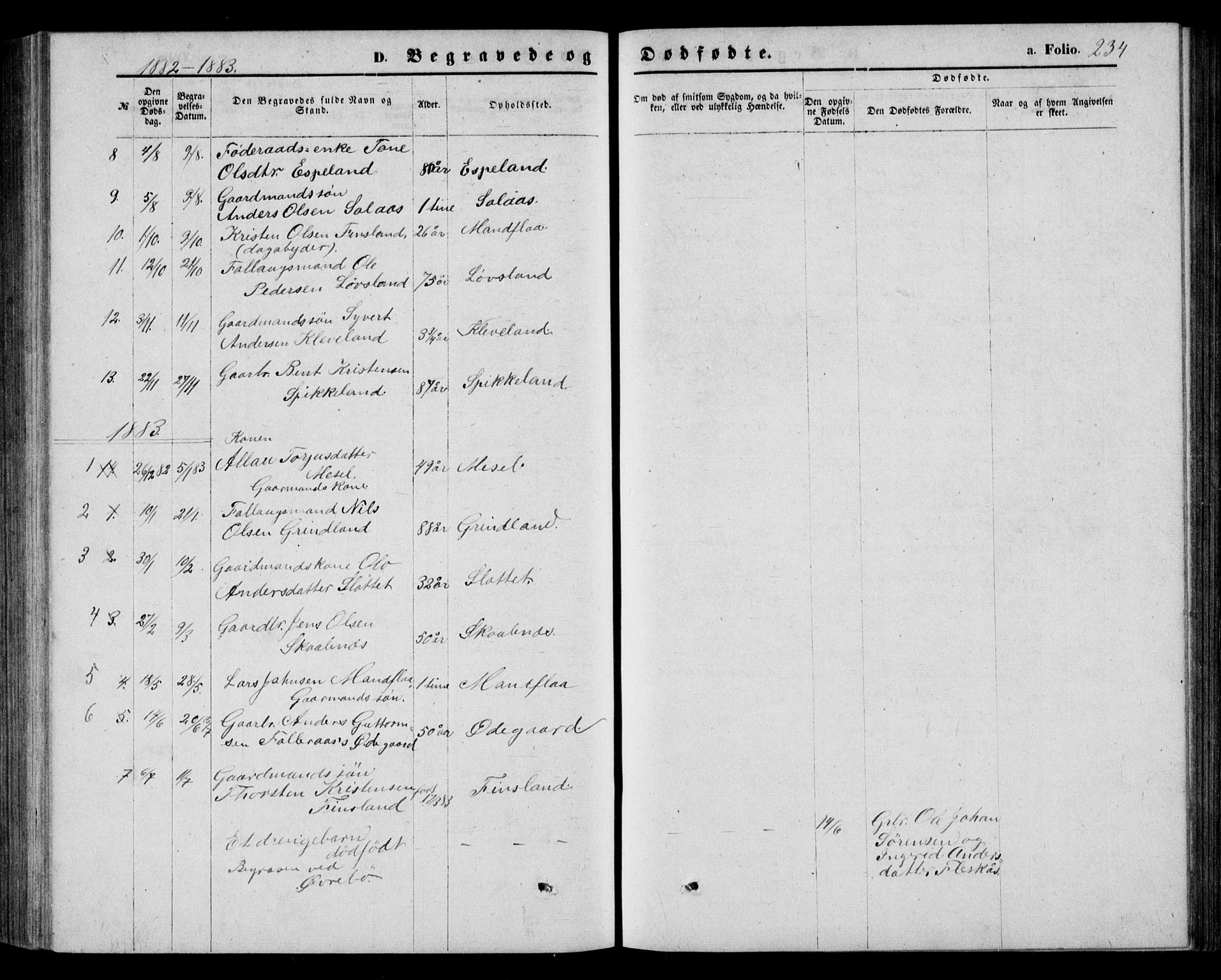 Bjelland sokneprestkontor, AV/SAK-1111-0005/F/Fb/Fbb/L0004: Parish register (copy) no. B 4, 1867-1887, p. 234