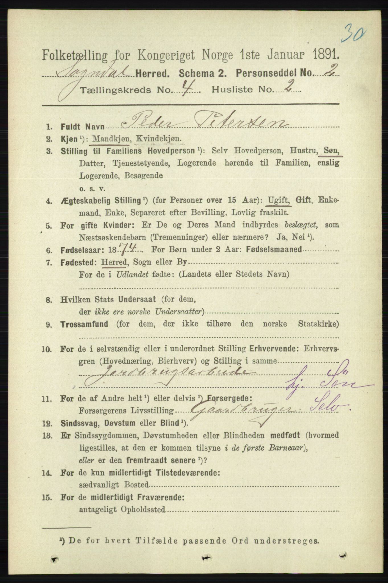 RA, 1891 census for 1111 Sokndal, 1891, p. 1007