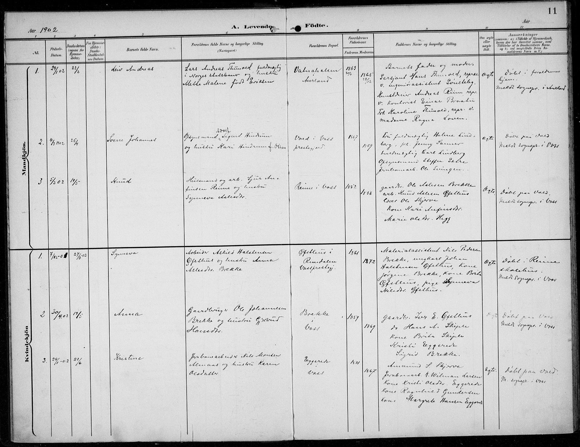 Parish register (official) no. A  1, 1900-1939, p. 11