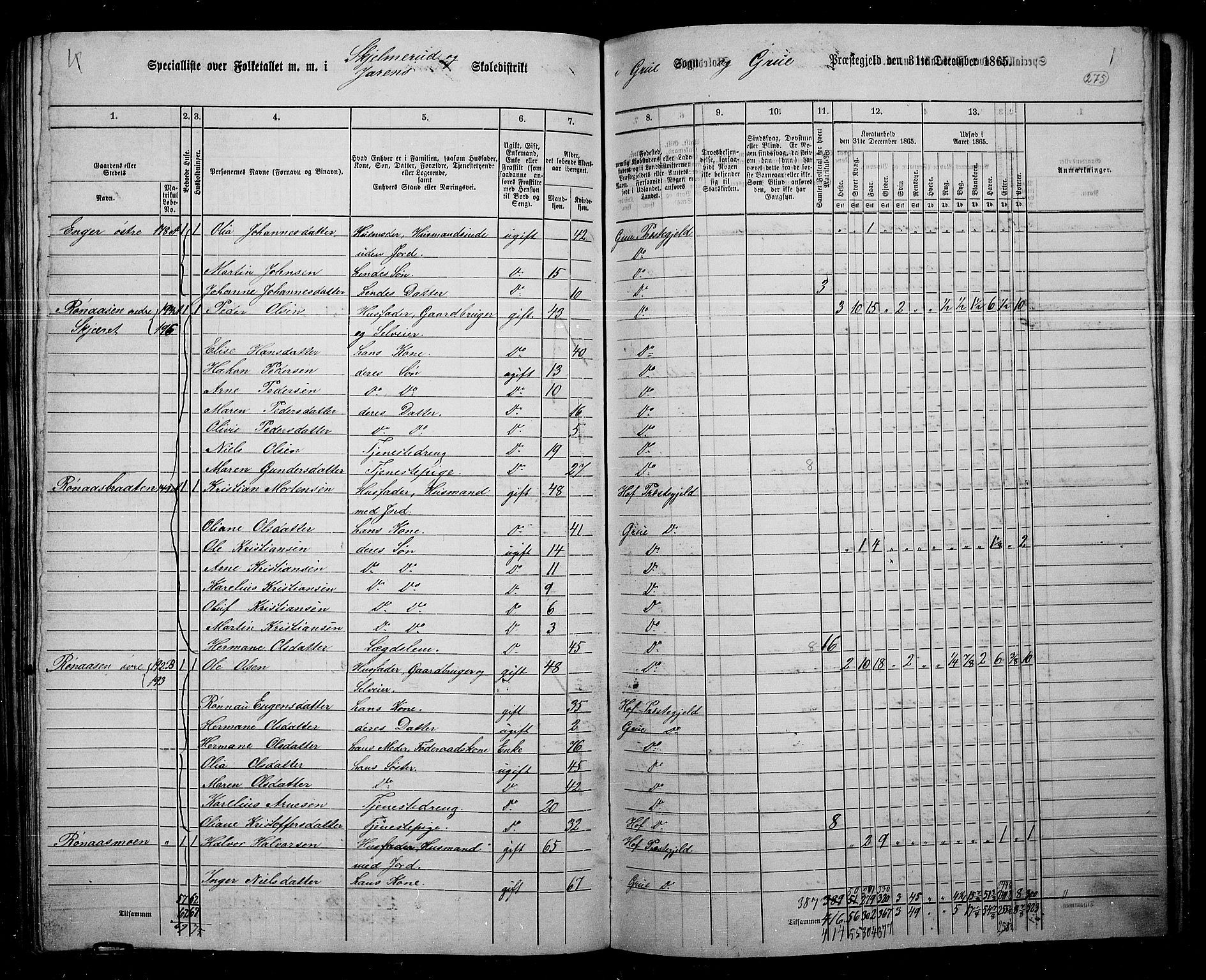 RA, 1865 census for Grue, 1865, p. 244