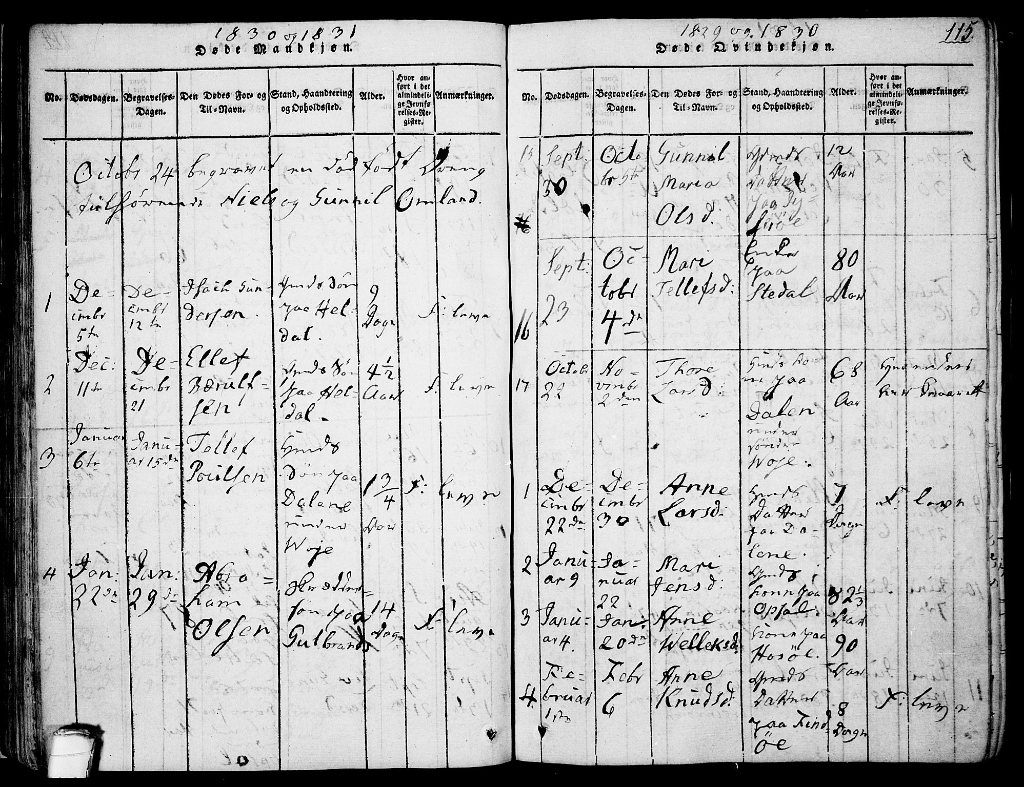 Drangedal kirkebøker, SAKO/A-258/F/Fa/L0005: Parish register (official) no. 5 /1, 1814-1831, p. 115