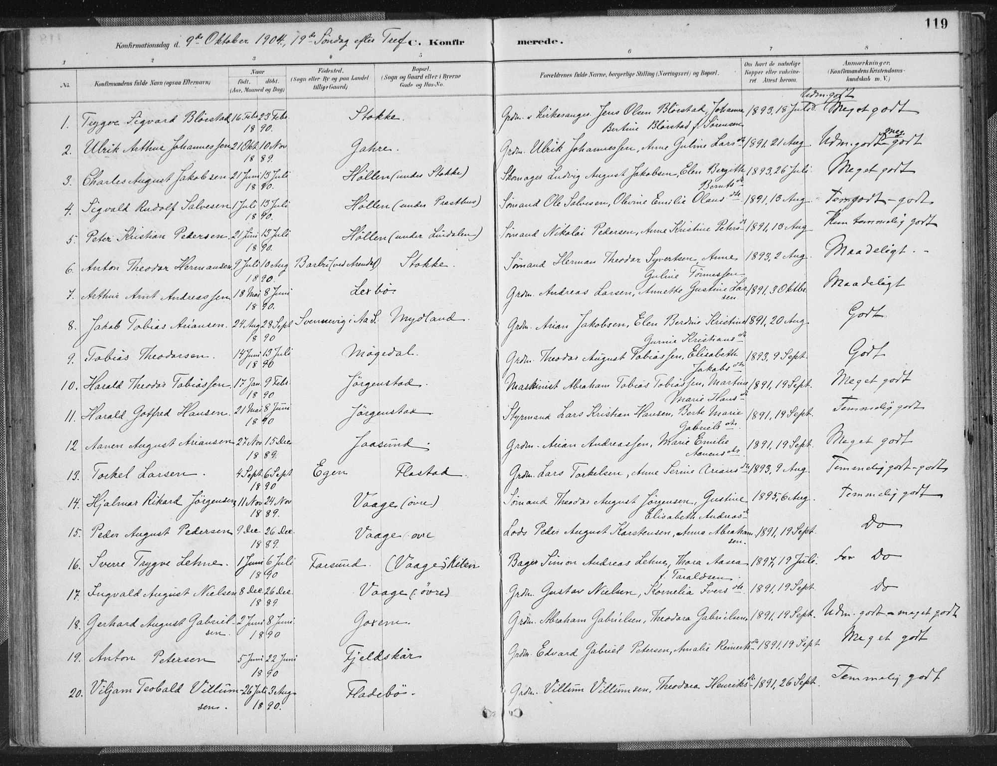 Sør-Audnedal sokneprestkontor, AV/SAK-1111-0039/F/Fa/Faa/L0004: Parish register (official) no. A 4, 1884-1909, p. 119