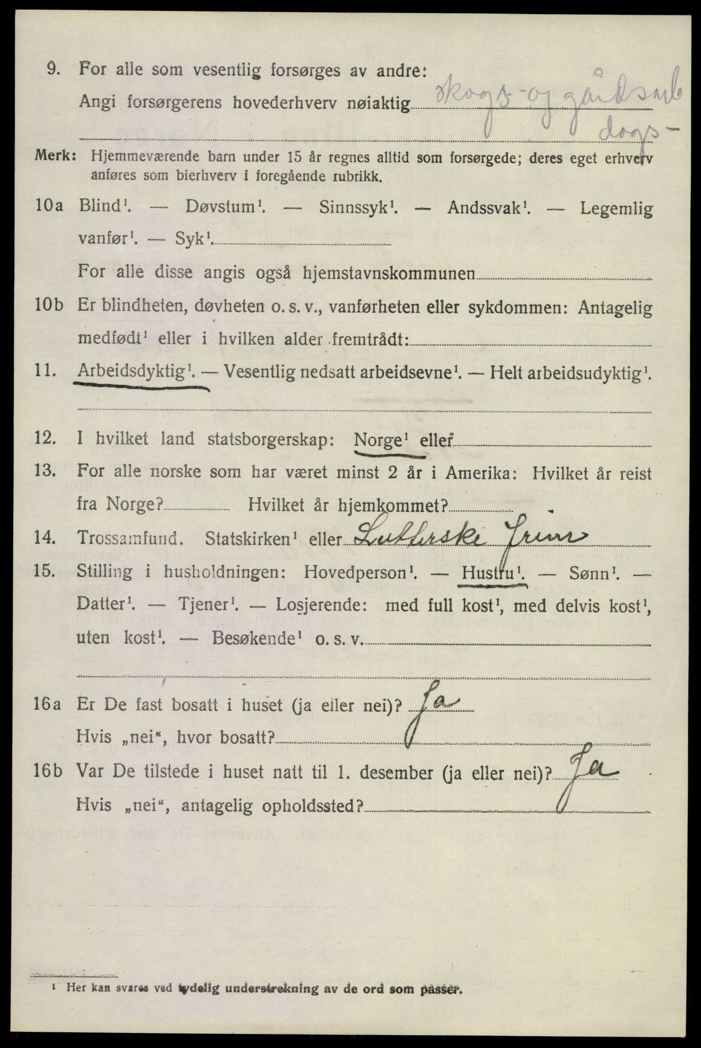 SAKO, 1920 census for Nore, 1920, p. 3035