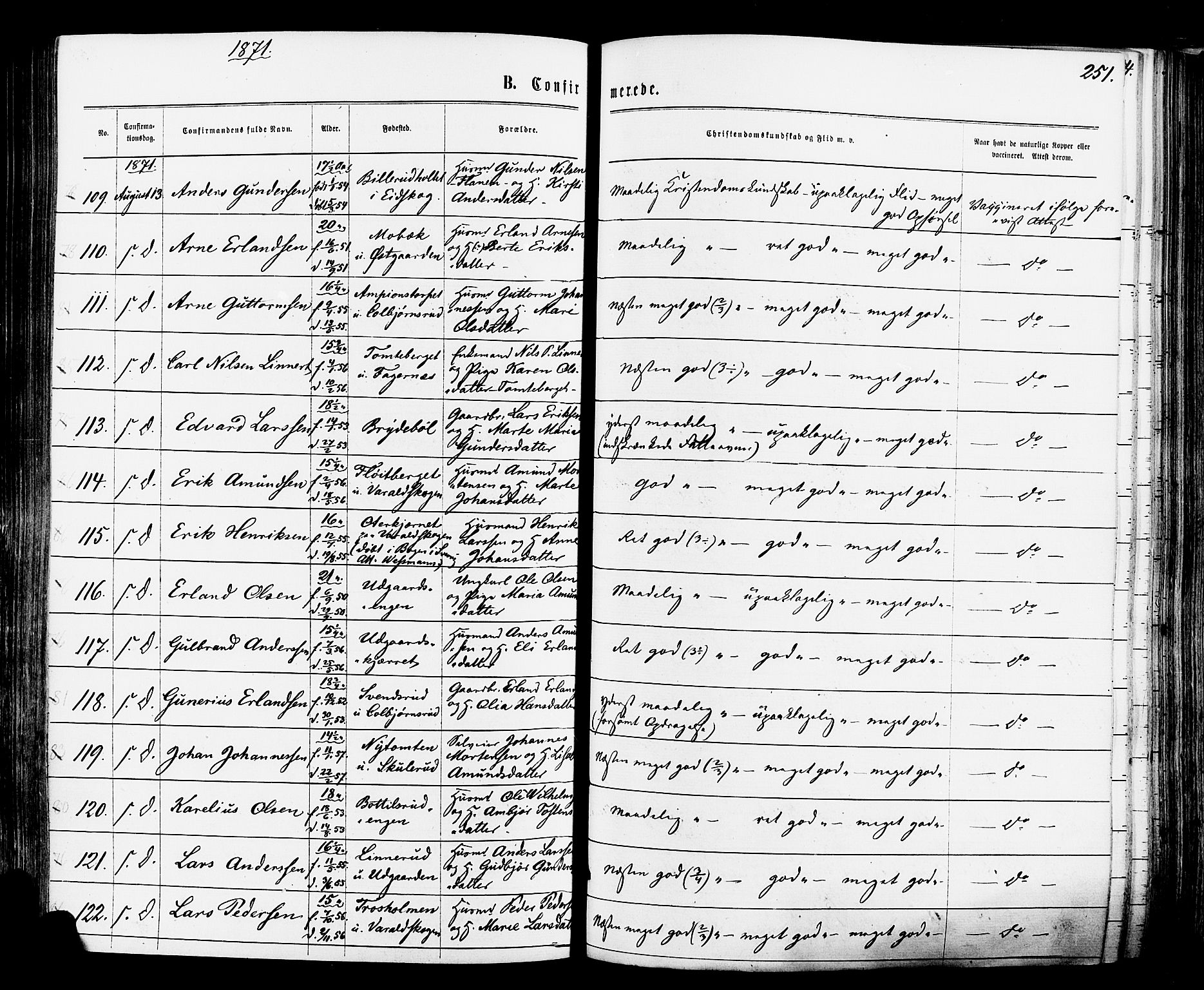 Vinger prestekontor, AV/SAH-PREST-024/H/Ha/Haa/L0012: Parish register (official) no. 12, 1871-1880, p. 251