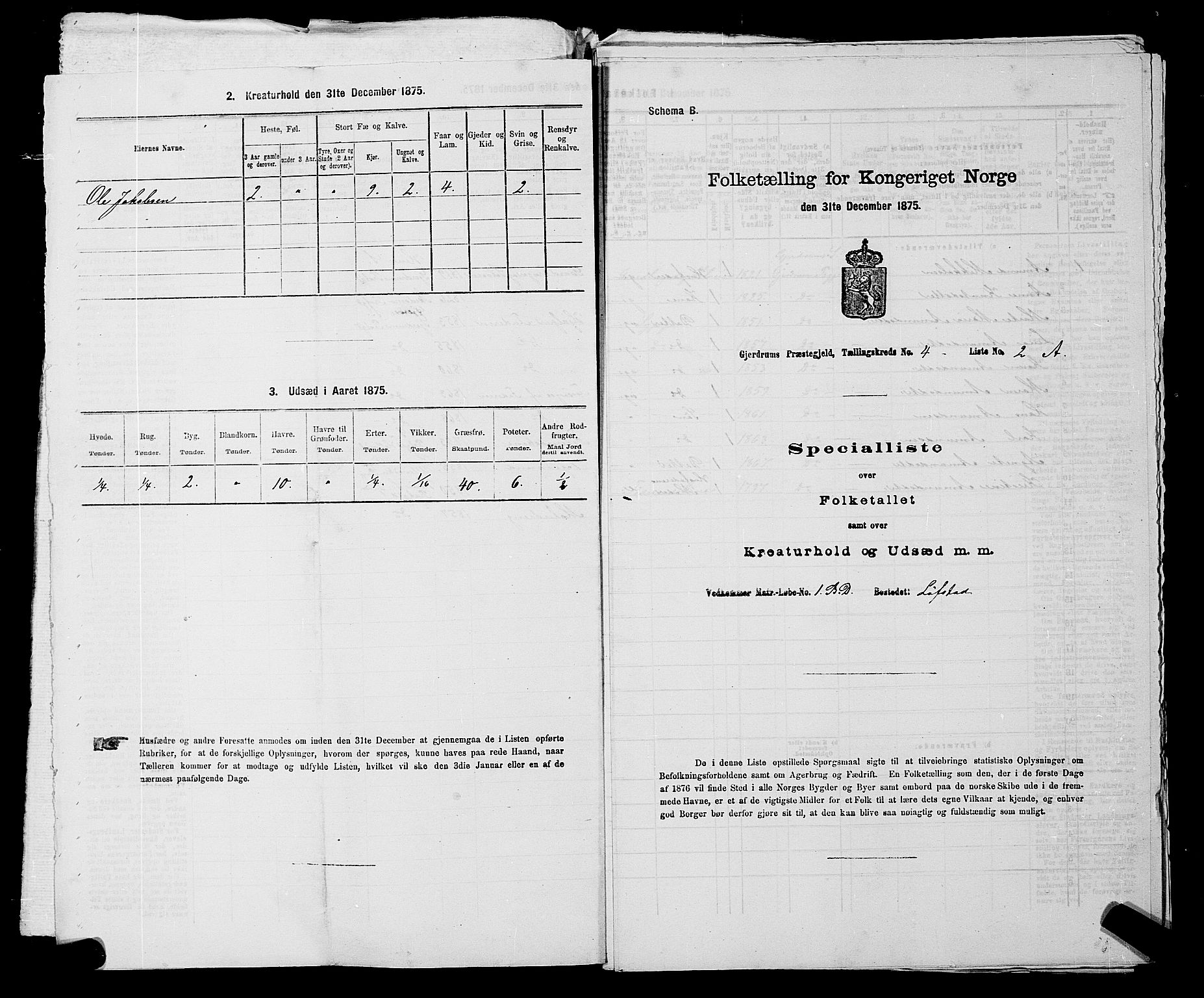 RA, 1875 census for 0234P Gjerdrum, 1875, p. 565