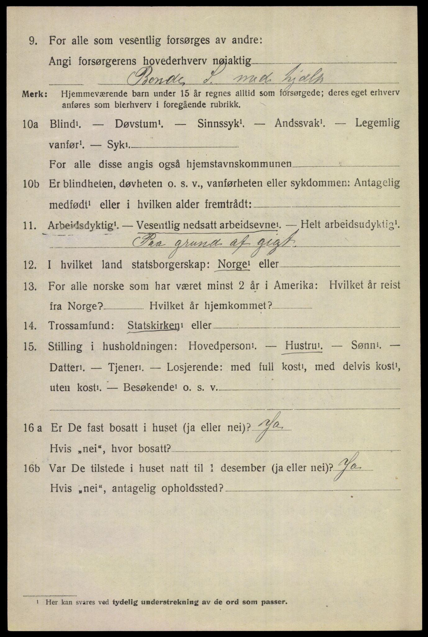 SAKO, 1920 census for Ål, 1920, p. 4803