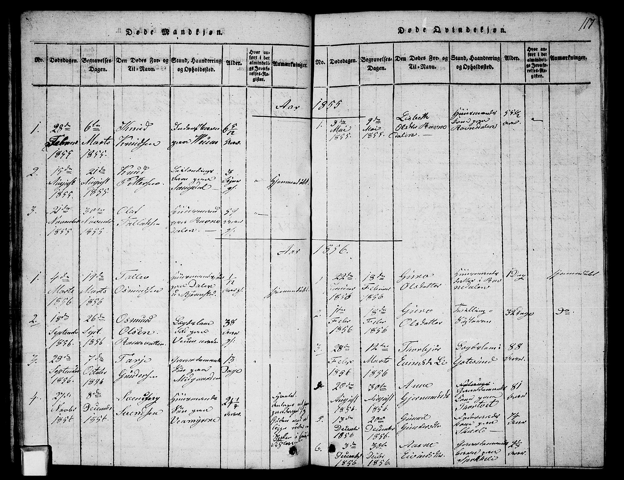 Fyresdal kirkebøker, SAKO/A-263/G/Ga/L0003: Parish register (copy) no. I 3, 1815-1863, p. 117