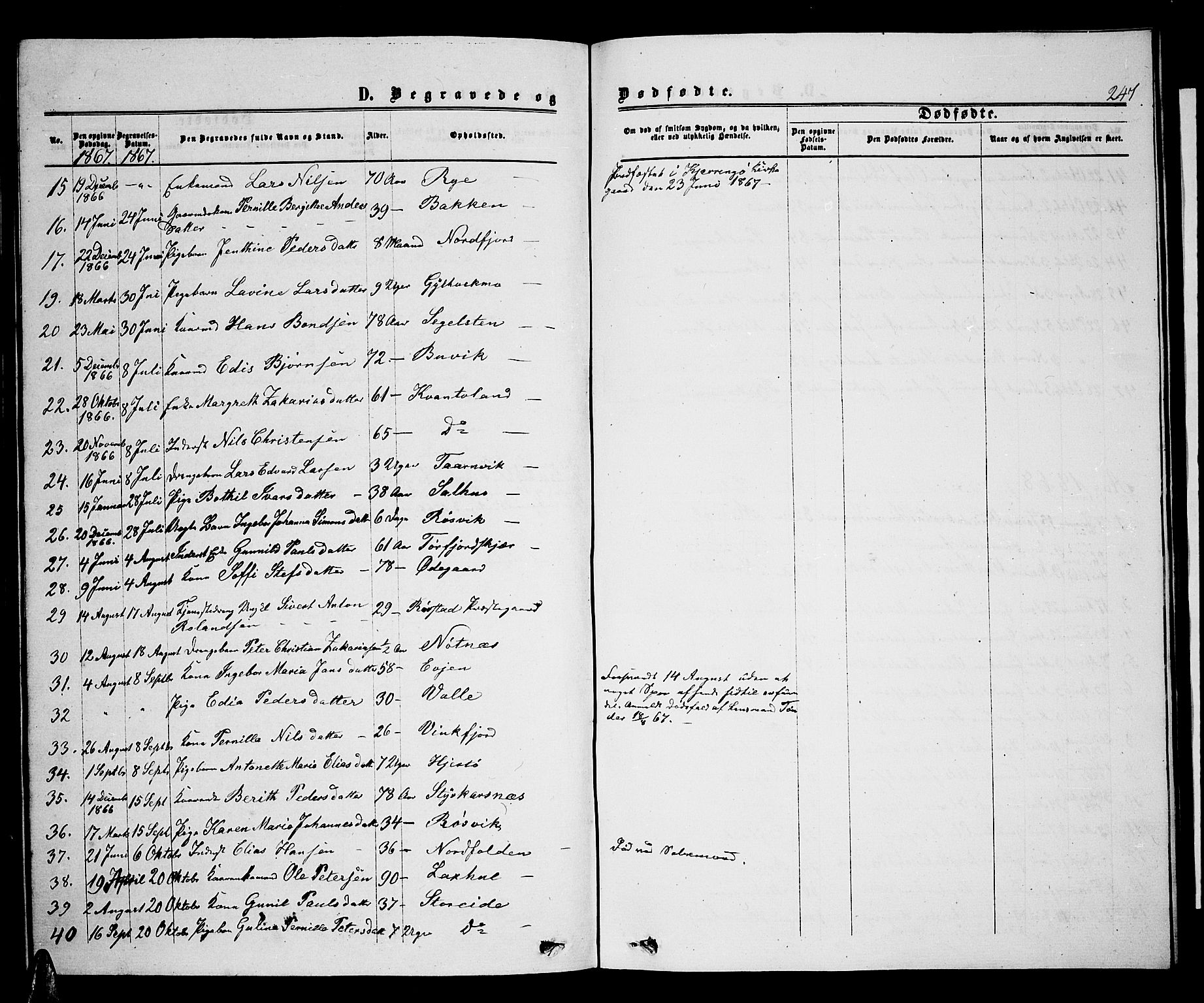 Ministerialprotokoller, klokkerbøker og fødselsregistre - Nordland, AV/SAT-A-1459/853/L0775: Parish register (copy) no. 853C03, 1859-1877, p. 247