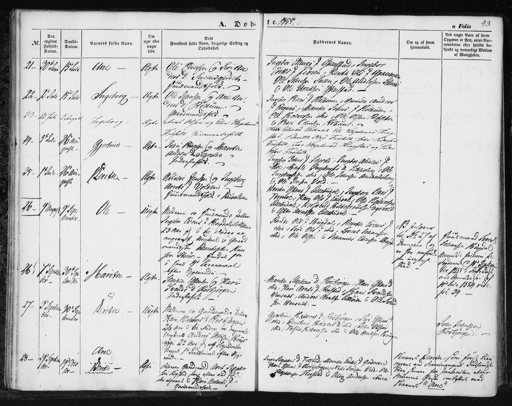 Ministerialprotokoller, klokkerbøker og fødselsregistre - Sør-Trøndelag, SAT/A-1456/687/L1000: Parish register (official) no. 687A06, 1848-1869, p. 43