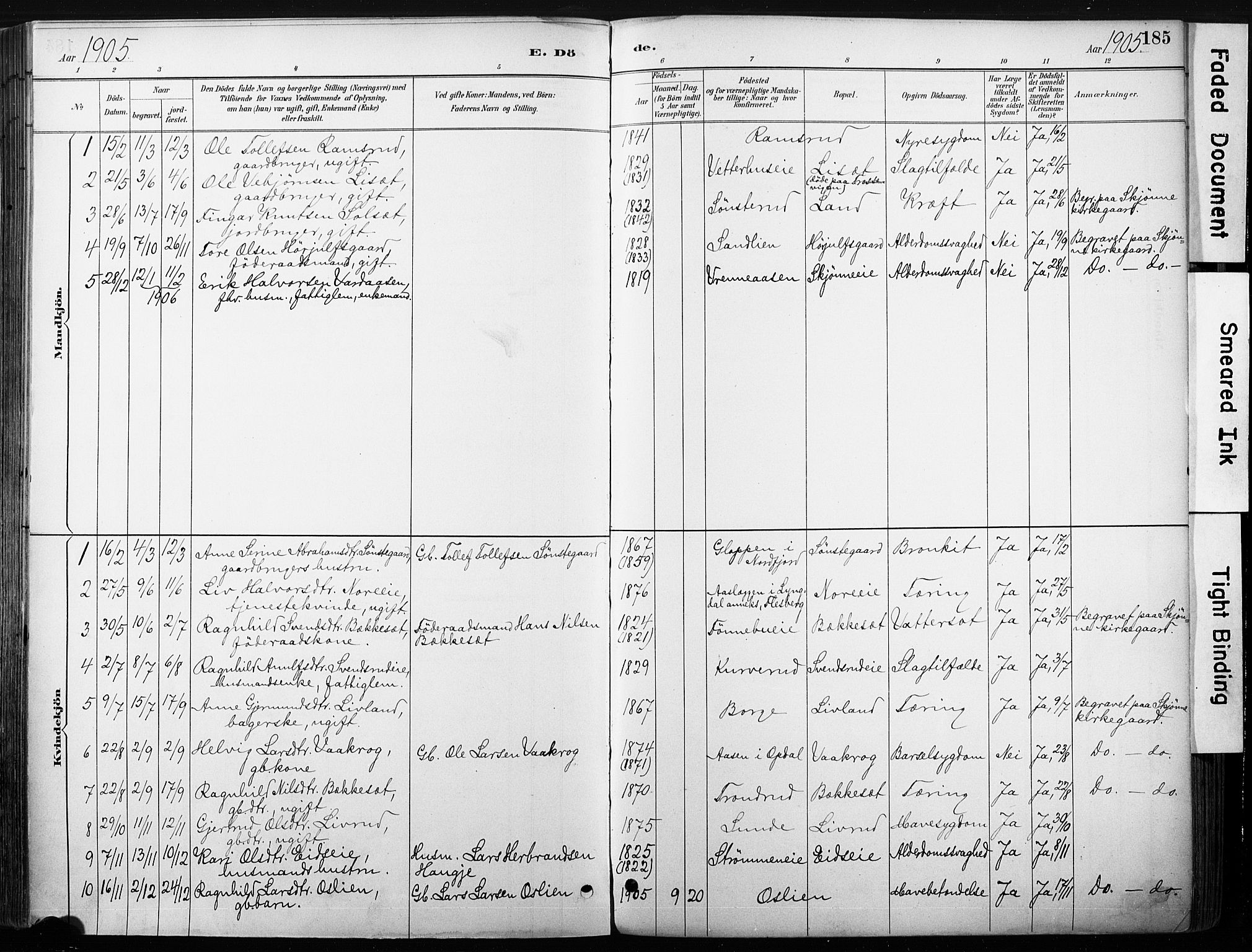 Nore kirkebøker, SAKO/A-238/F/Fb/L0002: Parish register (official) no. II 2, 1886-1906, p. 185