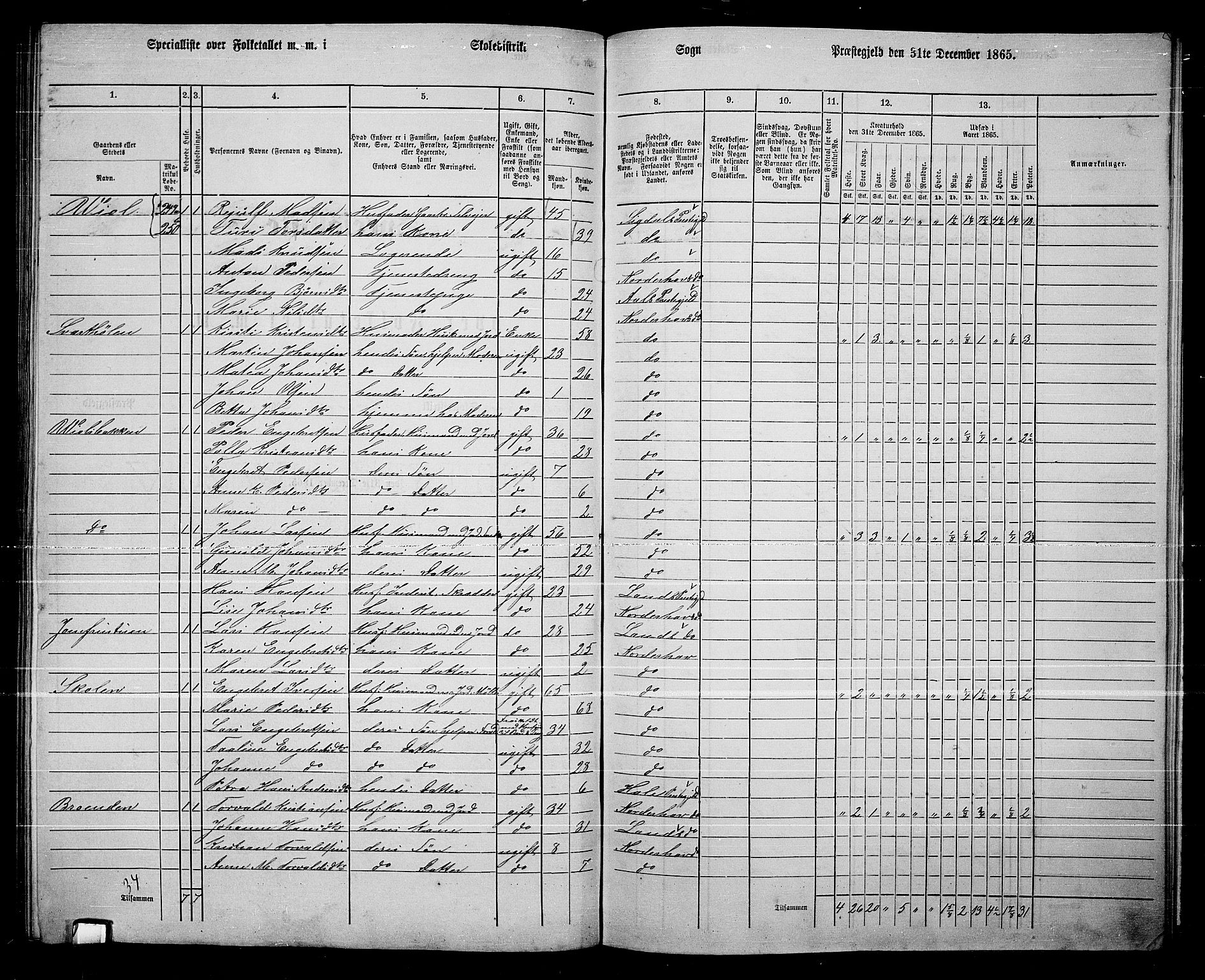 RA, 1865 census for Norderhov/Norderhov, Haug og Lunder, 1865, p. 247