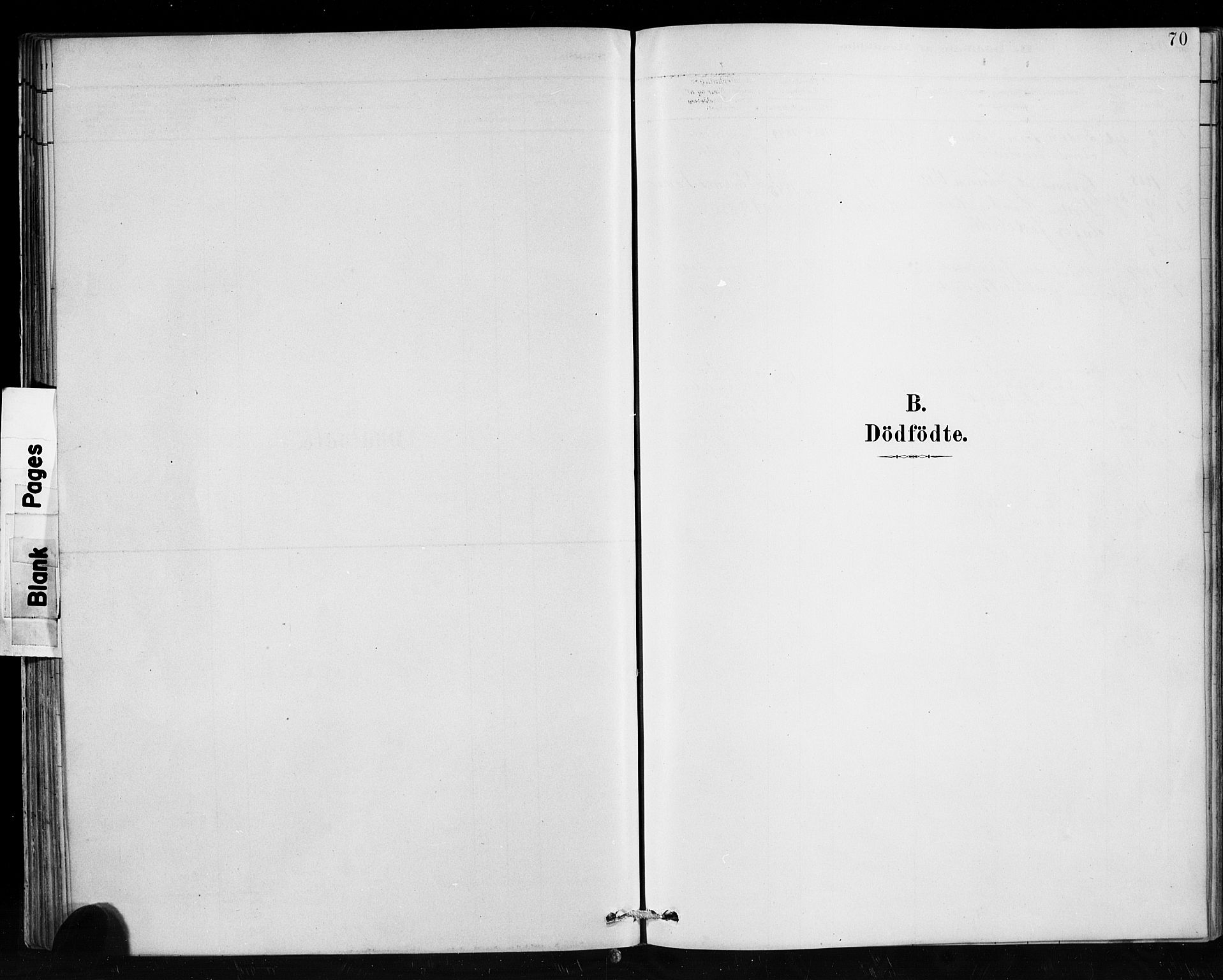 Hafslo sokneprestembete, SAB/A-80301/H/Hab/Habc/L0001: Parish register (copy) no. C 1, 1882-1908, p. 70
