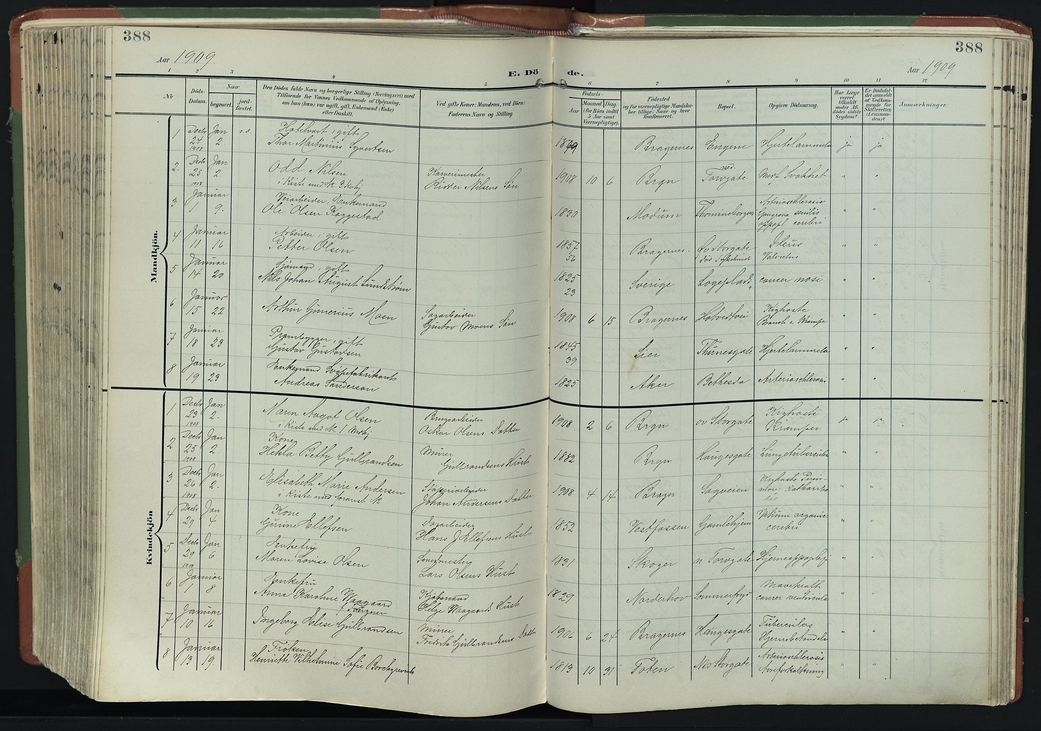 Bragernes kirkebøker, AV/SAKO-A-6/F/Fb/L0009: Parish register (official) no. II 9, 1902-1911, p. 388