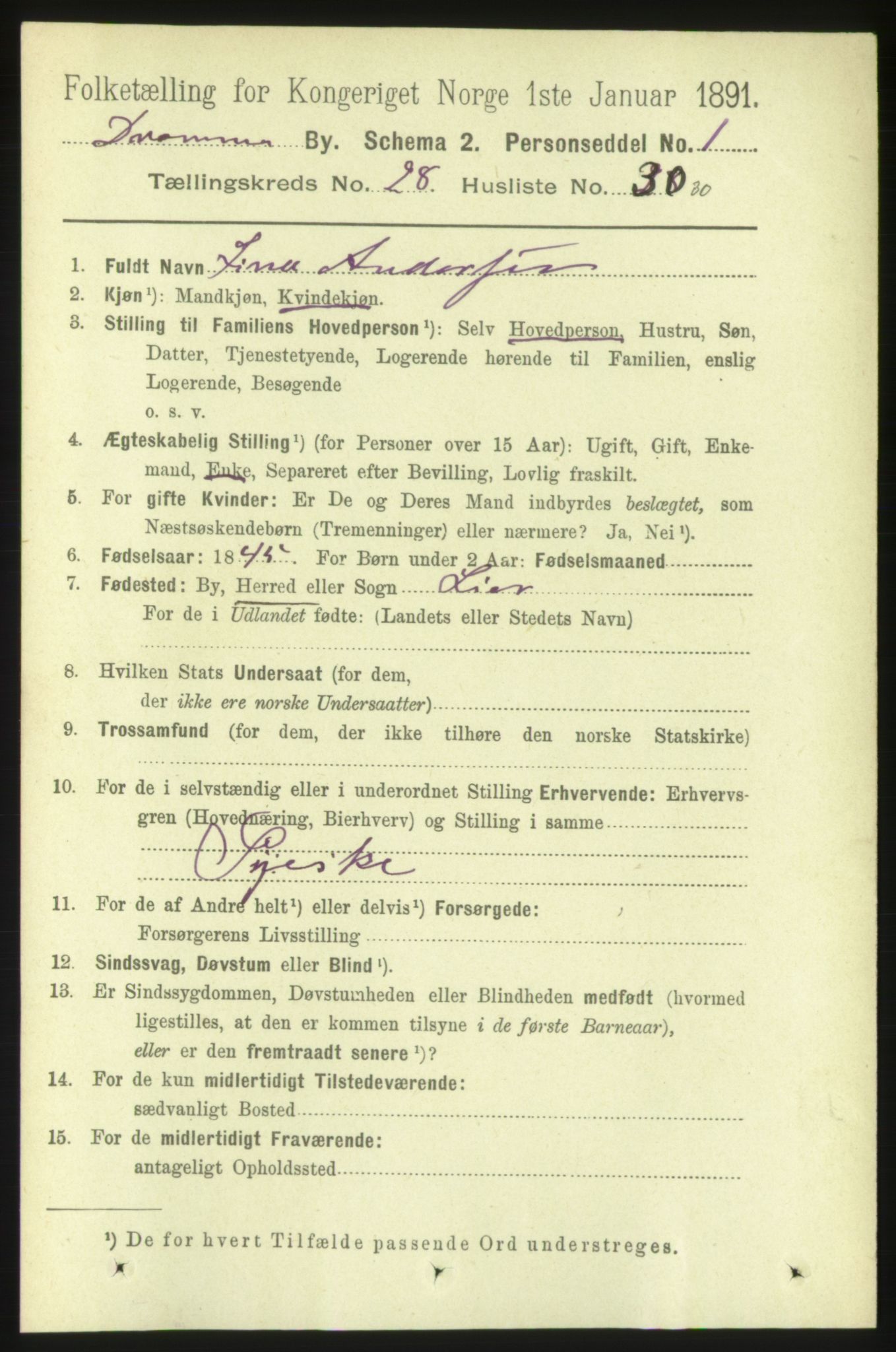 RA, 1891 census for 0602 Drammen, 1891, p. 17080