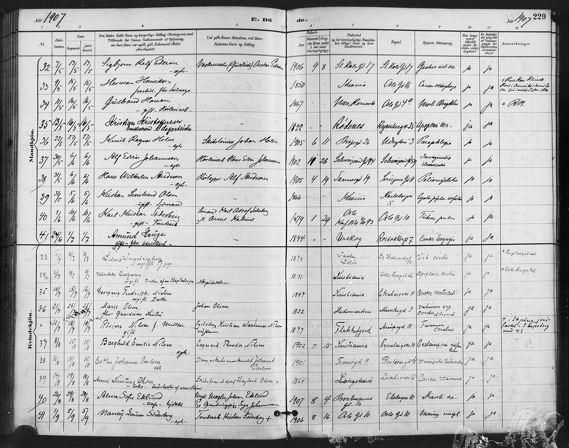 Gamlebyen prestekontor Kirkebøker, SAO/A-10884/F/Fa/L0009: Parish register (official) no. 9, 1888-1909, p. 229