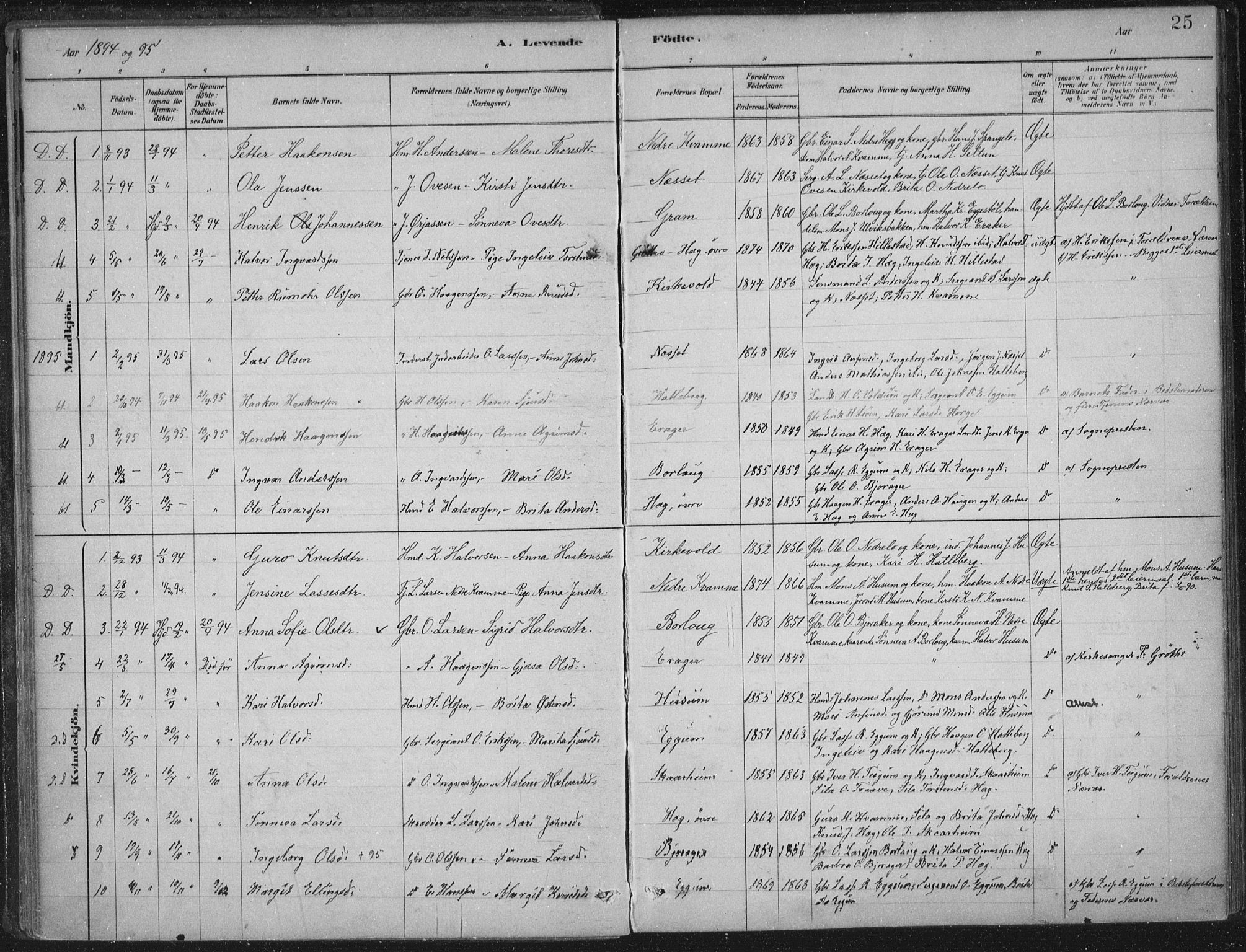 Lærdal sokneprestembete, SAB/A-81201: Parish register (official) no. C  1, 1878-1911, p. 25
