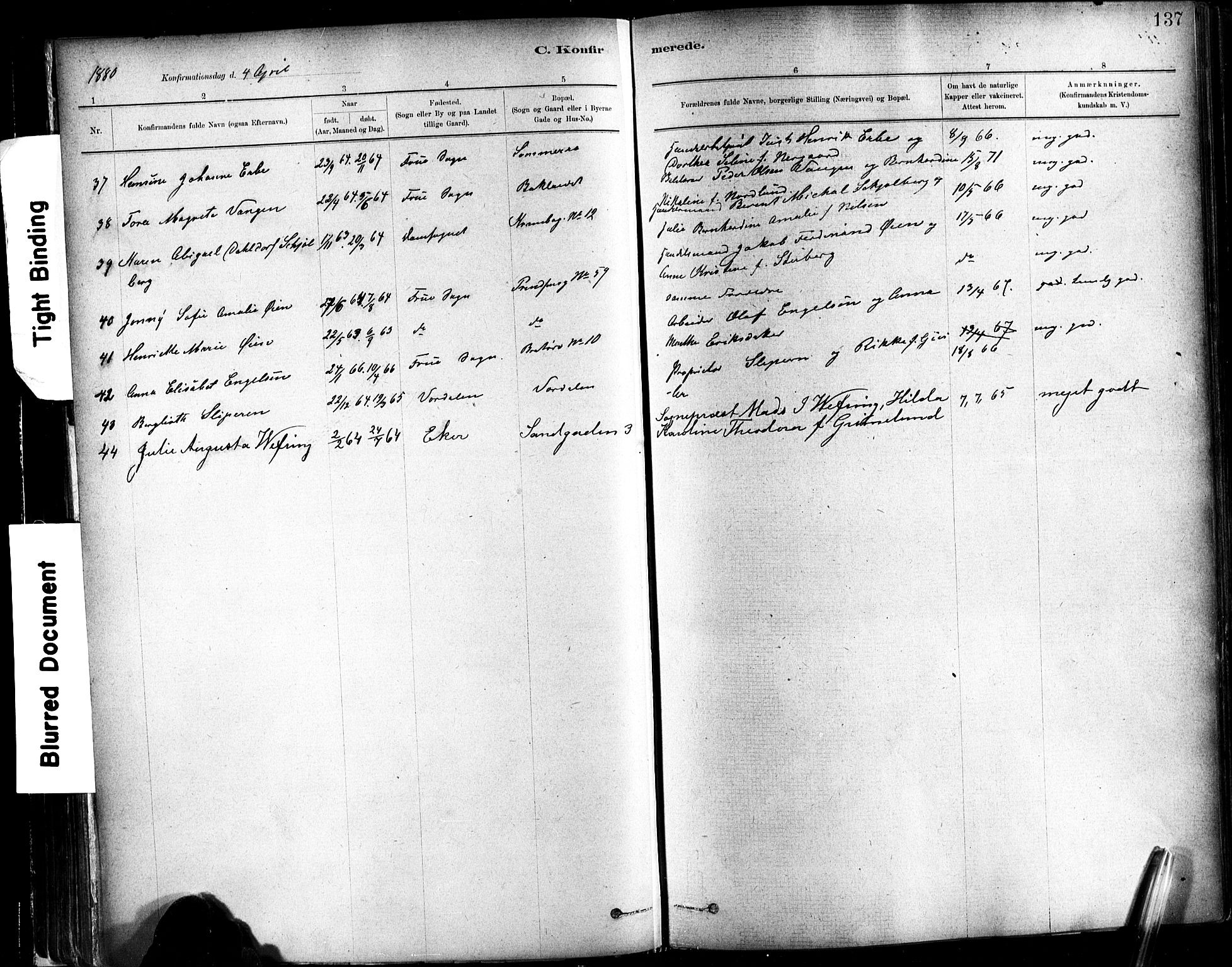 Ministerialprotokoller, klokkerbøker og fødselsregistre - Sør-Trøndelag, AV/SAT-A-1456/602/L0119: Parish register (official) no. 602A17, 1880-1901, p. 137