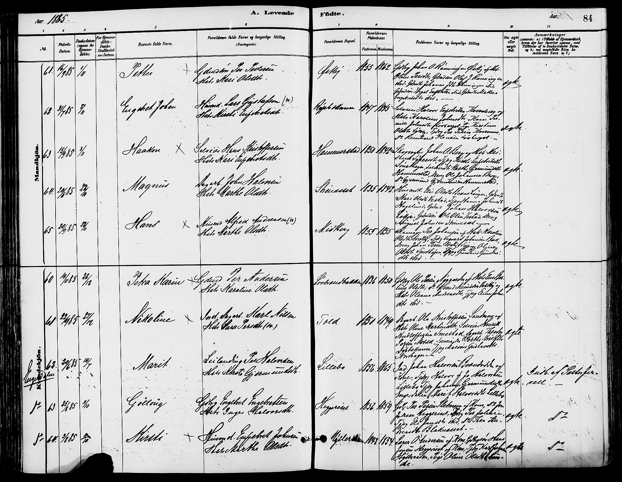 Trysil prestekontor, AV/SAH-PREST-046/H/Ha/Haa/L0008: Parish register (official) no. 8, 1881-1897, p. 84