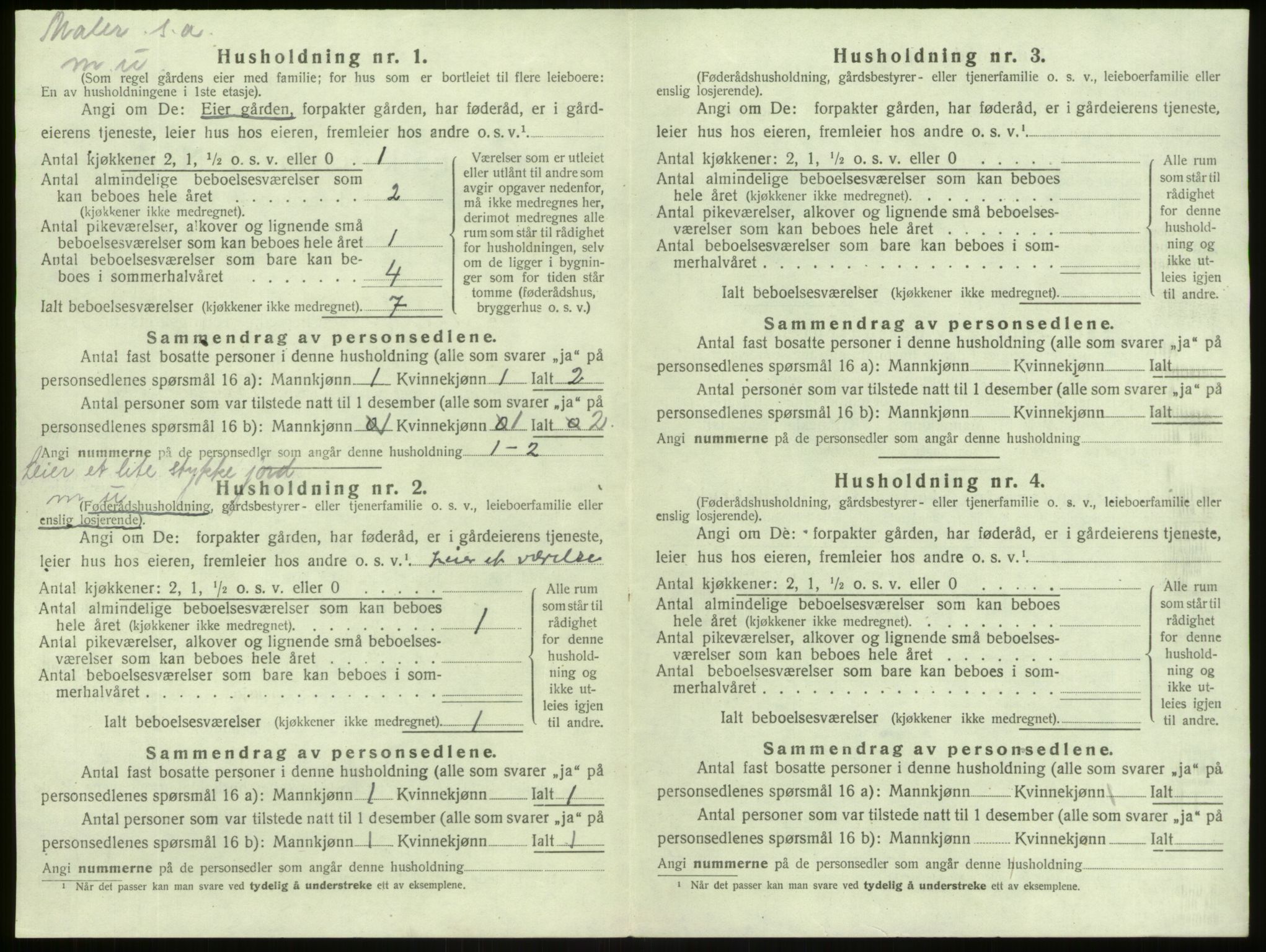 SAB, 1920 census for Lærdal, 1920, p. 315