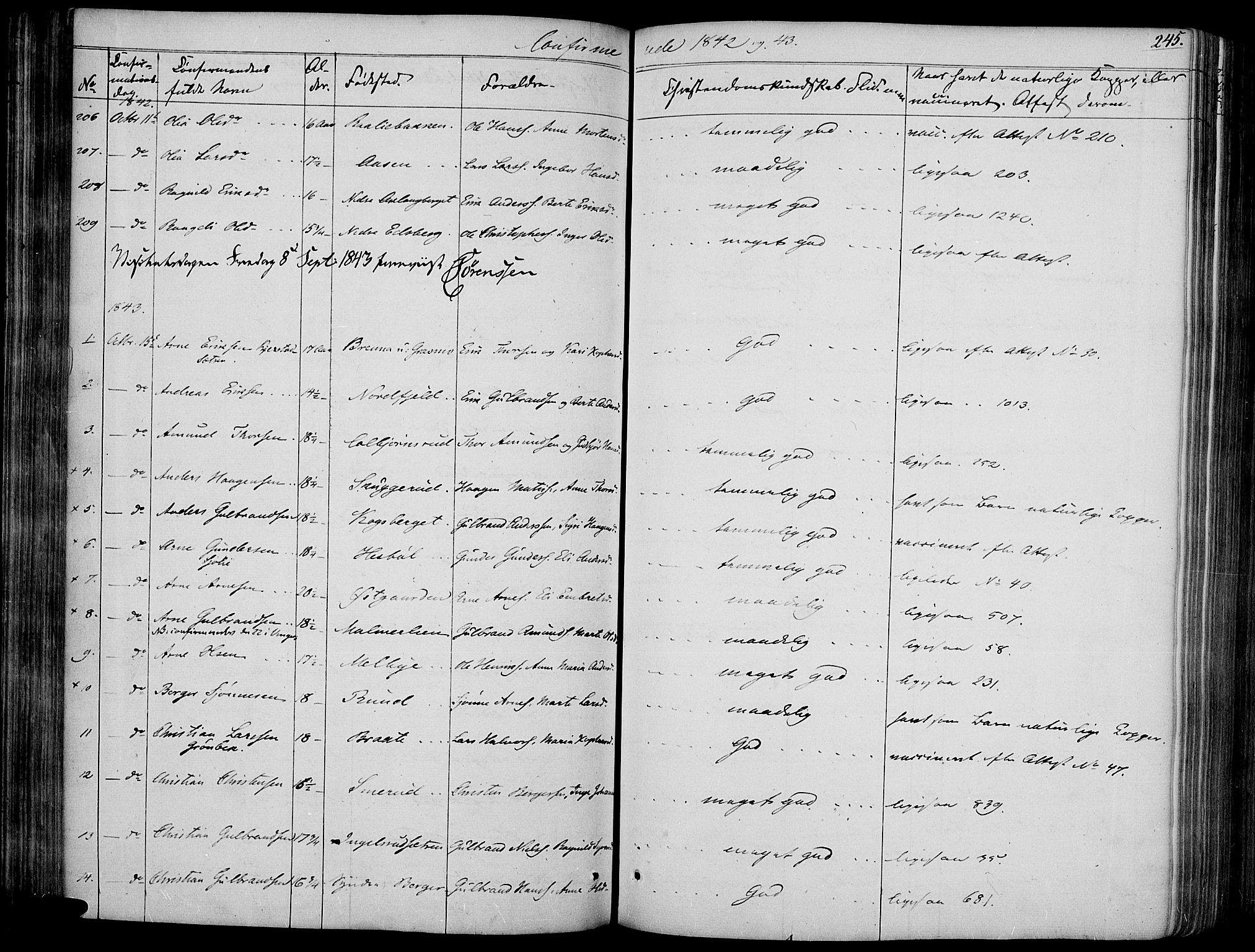 Vinger prestekontor, AV/SAH-PREST-024/H/Ha/Haa/L0008: Parish register (official) no. 8, 1839-1847, p. 245