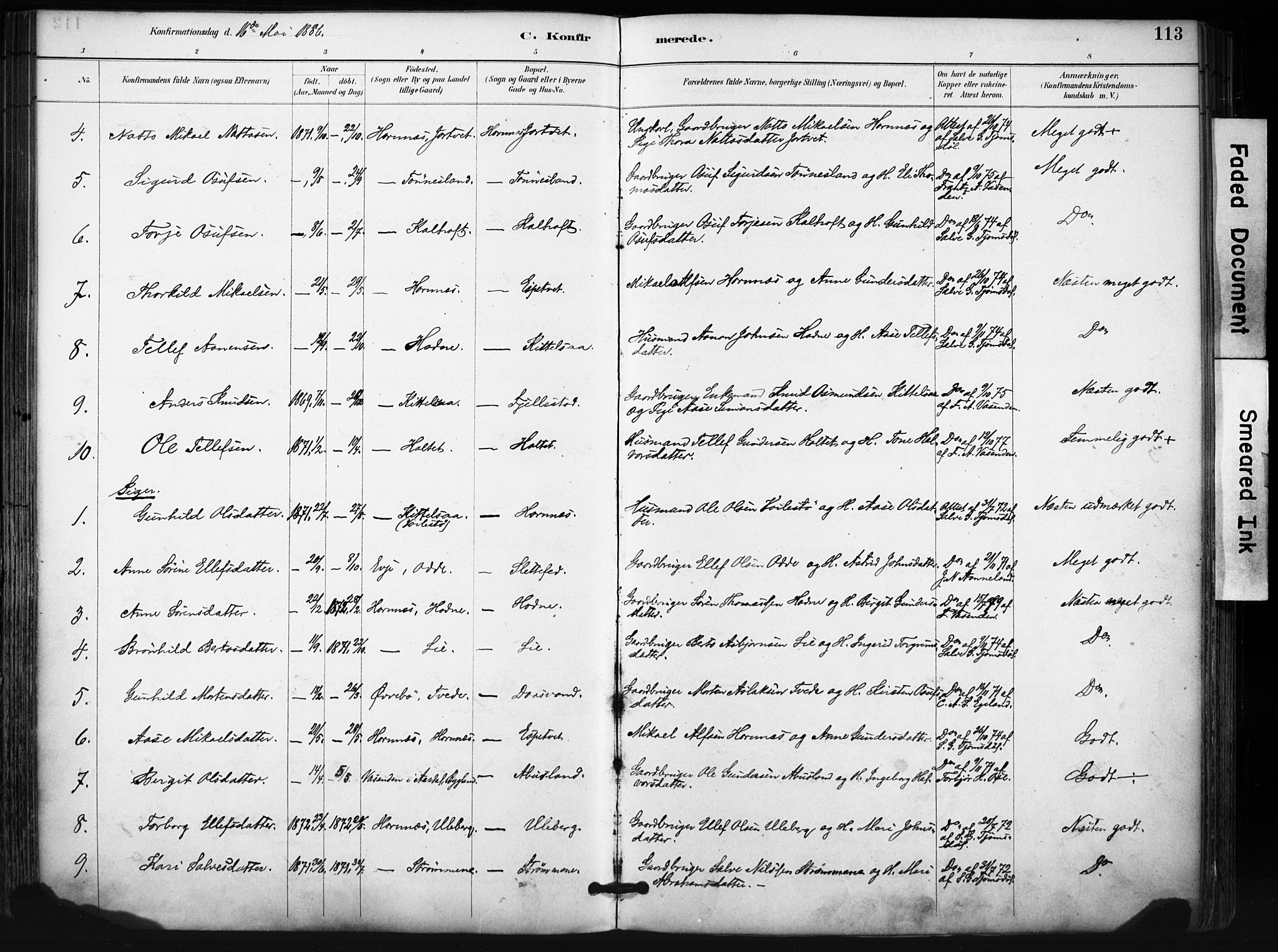 Evje sokneprestkontor, SAK/1111-0008/F/Fa/Fab/L0003: Parish register (official) no. A 3, 1884-1909, p. 113