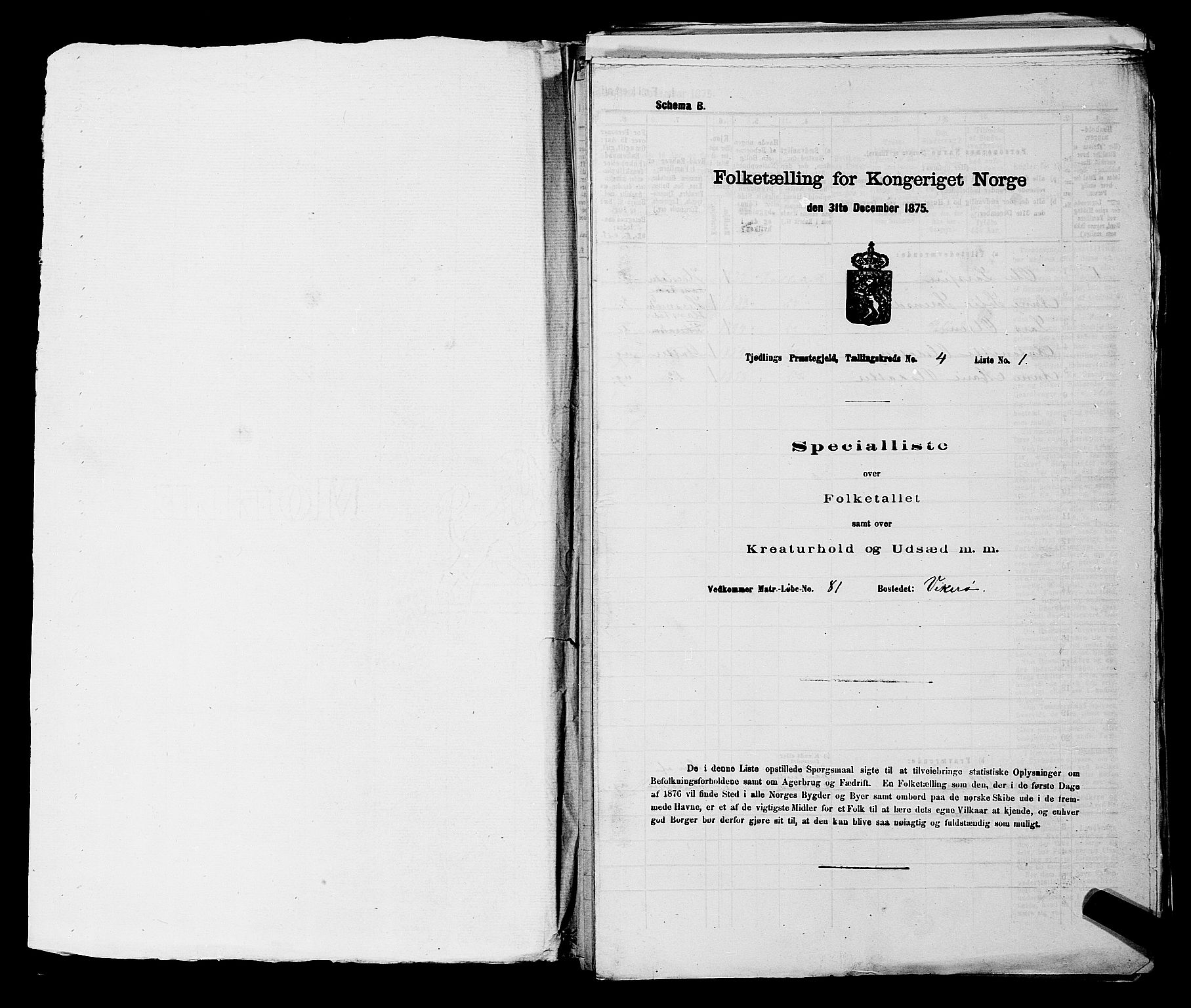 SAKO, 1875 census for 0725P Tjølling, 1875, p. 717