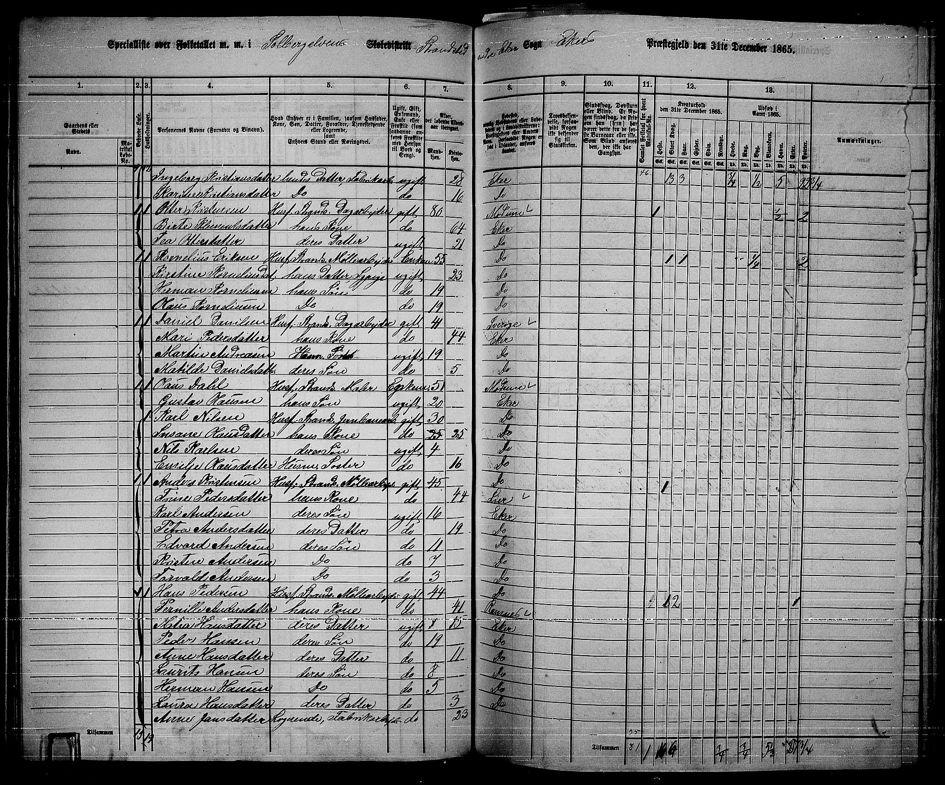 RA, 1865 census for Eiker, 1865, p. 361