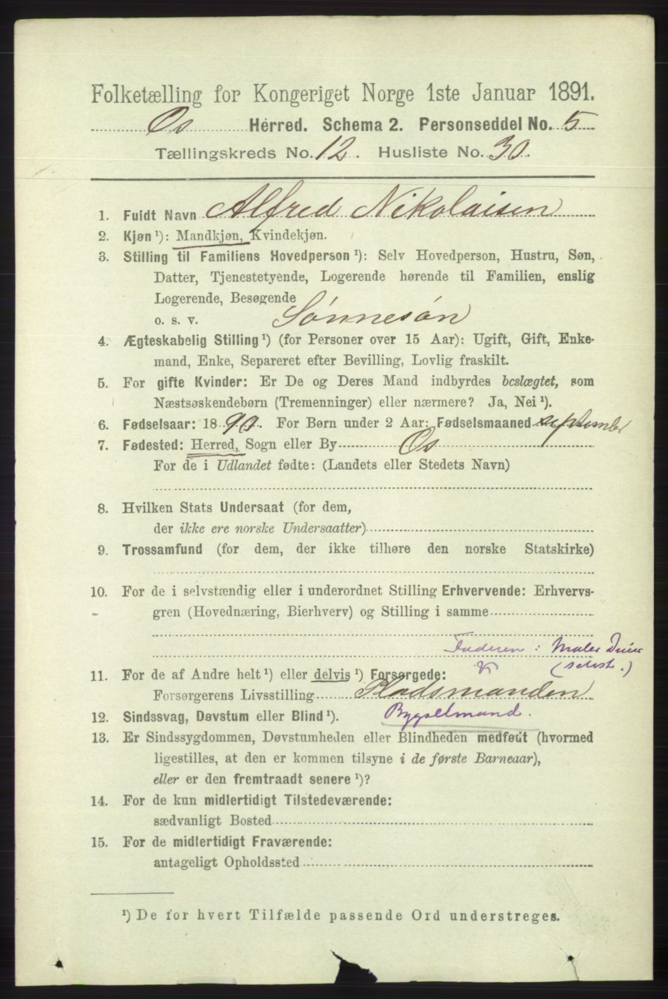 RA, 1891 census for 1243 Os, 1891, p. 2957