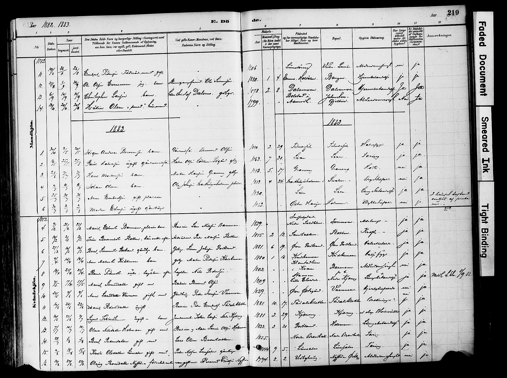 Tynset prestekontor, SAH/PREST-058/H/Ha/Haa/L0022: Parish register (official) no. 22, 1880-1899, p. 219