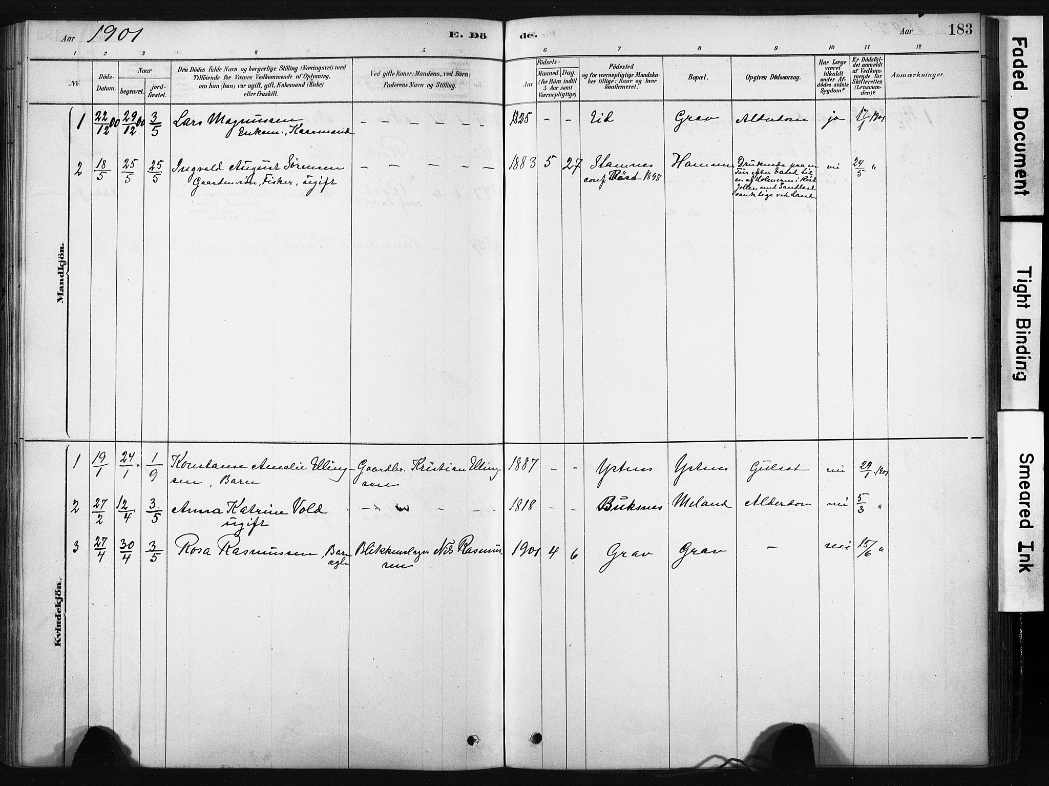 Ministerialprotokoller, klokkerbøker og fødselsregistre - Nordland, AV/SAT-A-1459/808/L0128: Parish register (official) no. 808A01, 1880-1902, p. 183