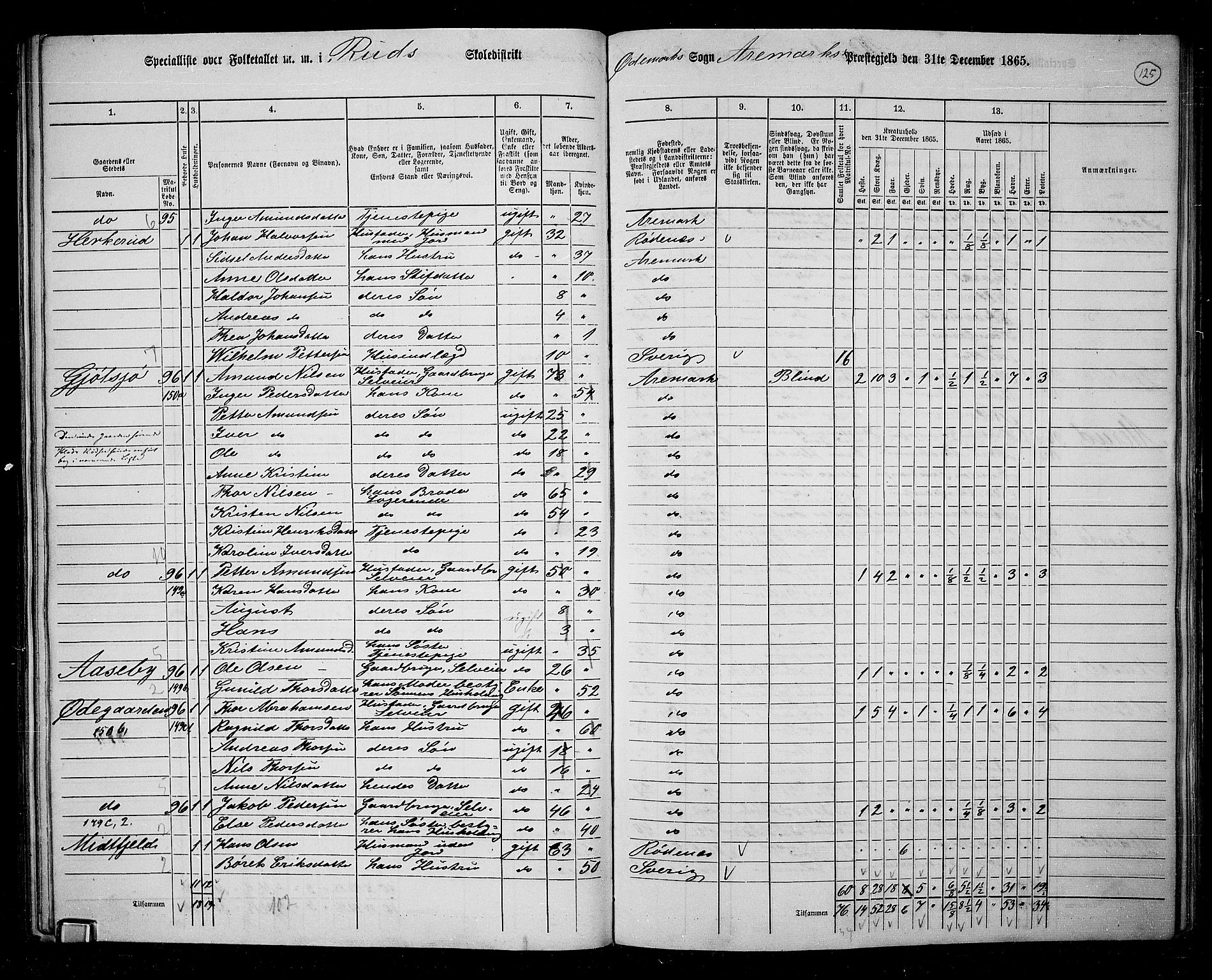 RA, 1865 census for Aremark, 1865, p. 114