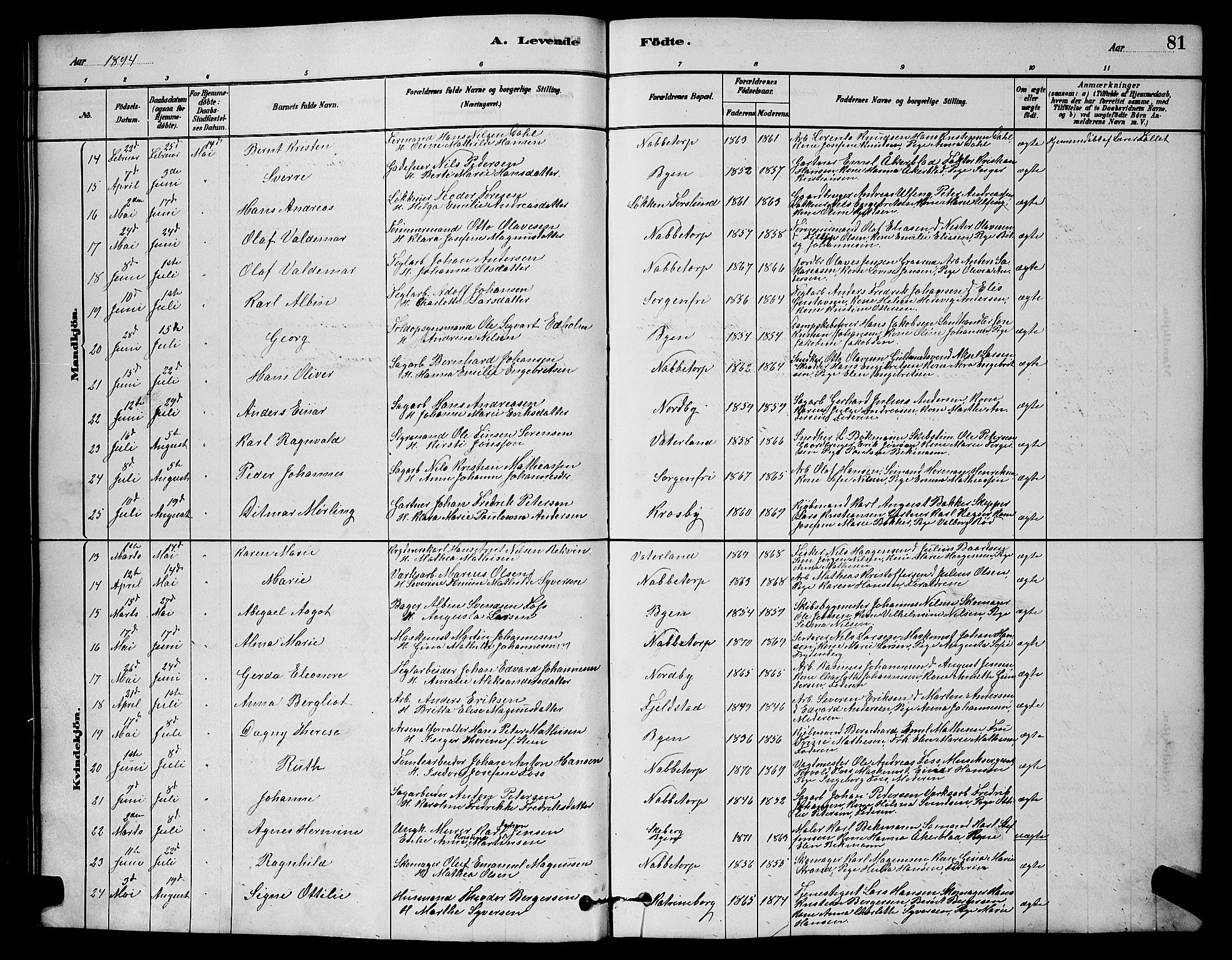 Østre Fredrikstad prestekontor Kirkebøker, SAO/A-10907/G/Ga/L0001: Parish register (copy) no. 1, 1880-1899, p. 81