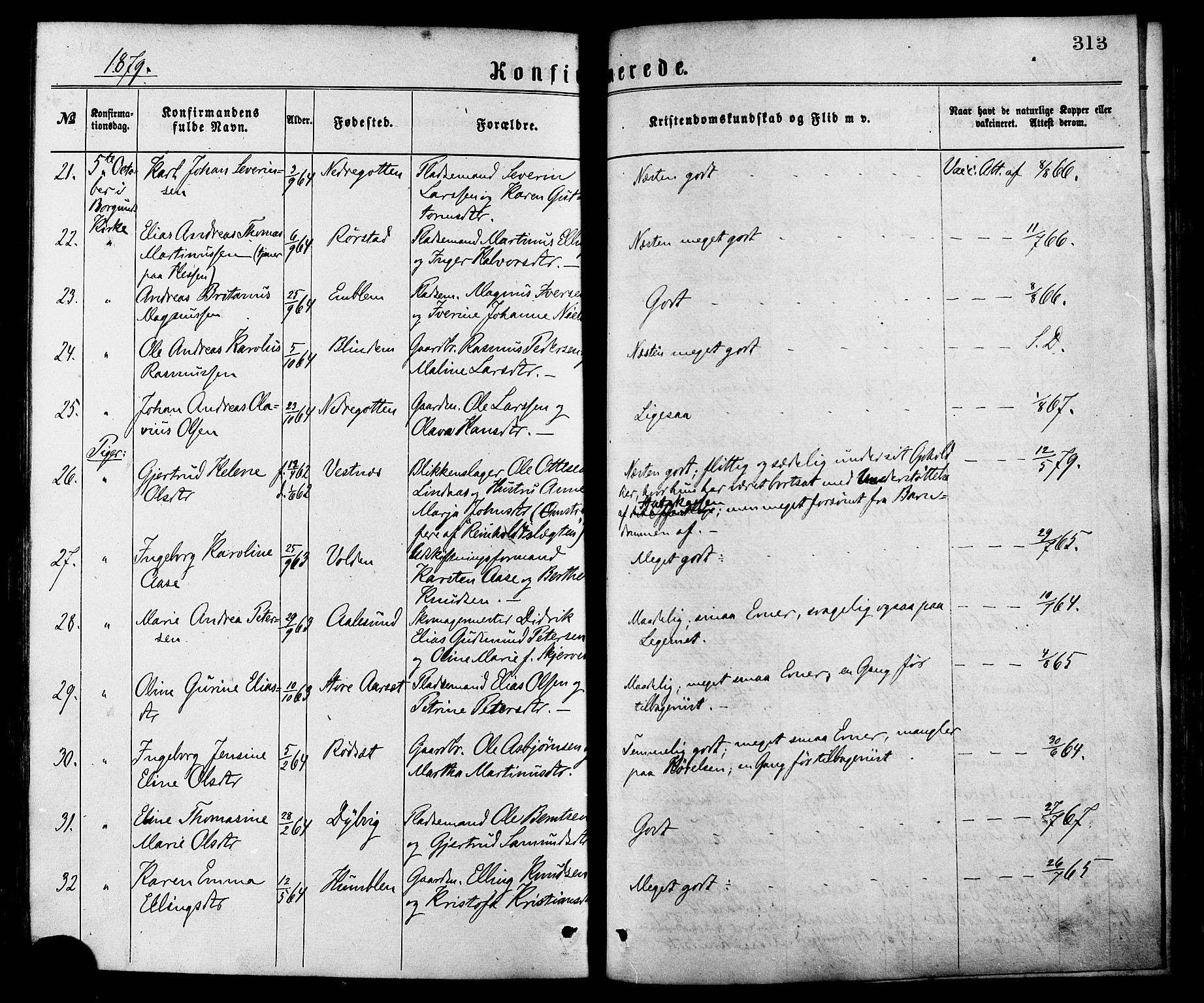 Ministerialprotokoller, klokkerbøker og fødselsregistre - Møre og Romsdal, AV/SAT-A-1454/528/L0400: Parish register (official) no. 528A11, 1871-1879, p. 313