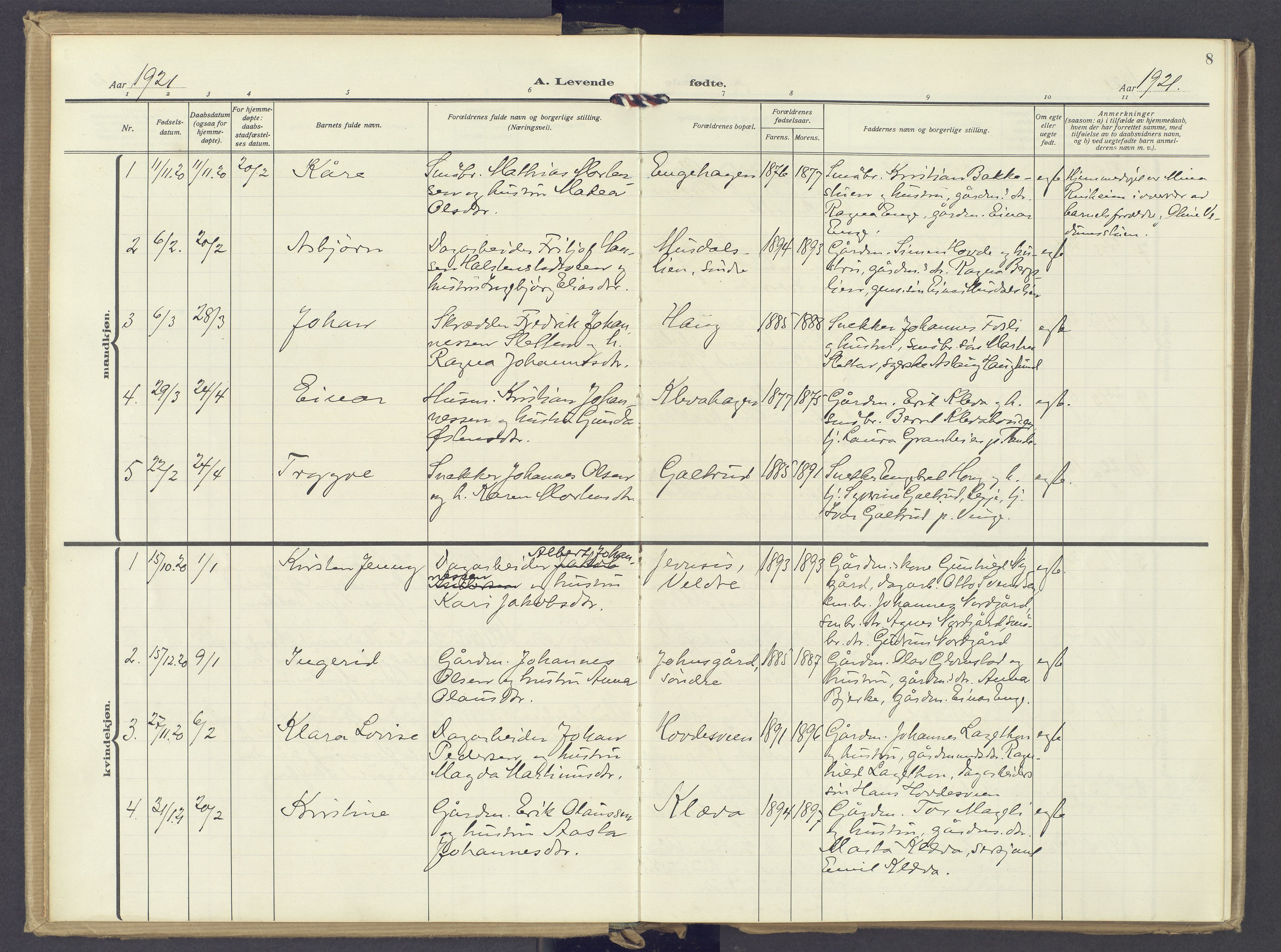 Øyer prestekontor, SAH/PREST-084/H/Ha/Haa/L0014: Parish register (official) no. 14, 1919-1932, p. 8