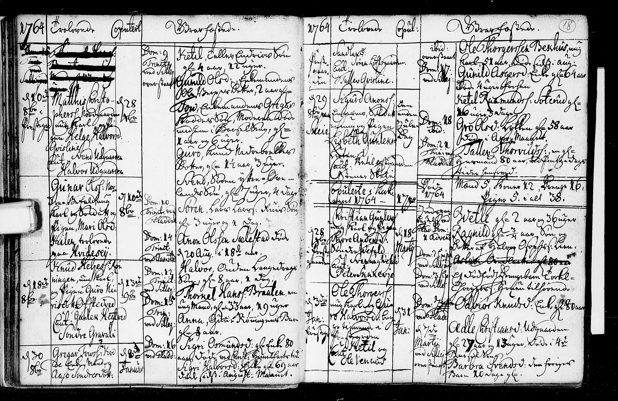 Seljord kirkebøker, SAKO/A-20/F/Fa/L0008: Parish register (official) no. I 8, 1755-1814, p. 18